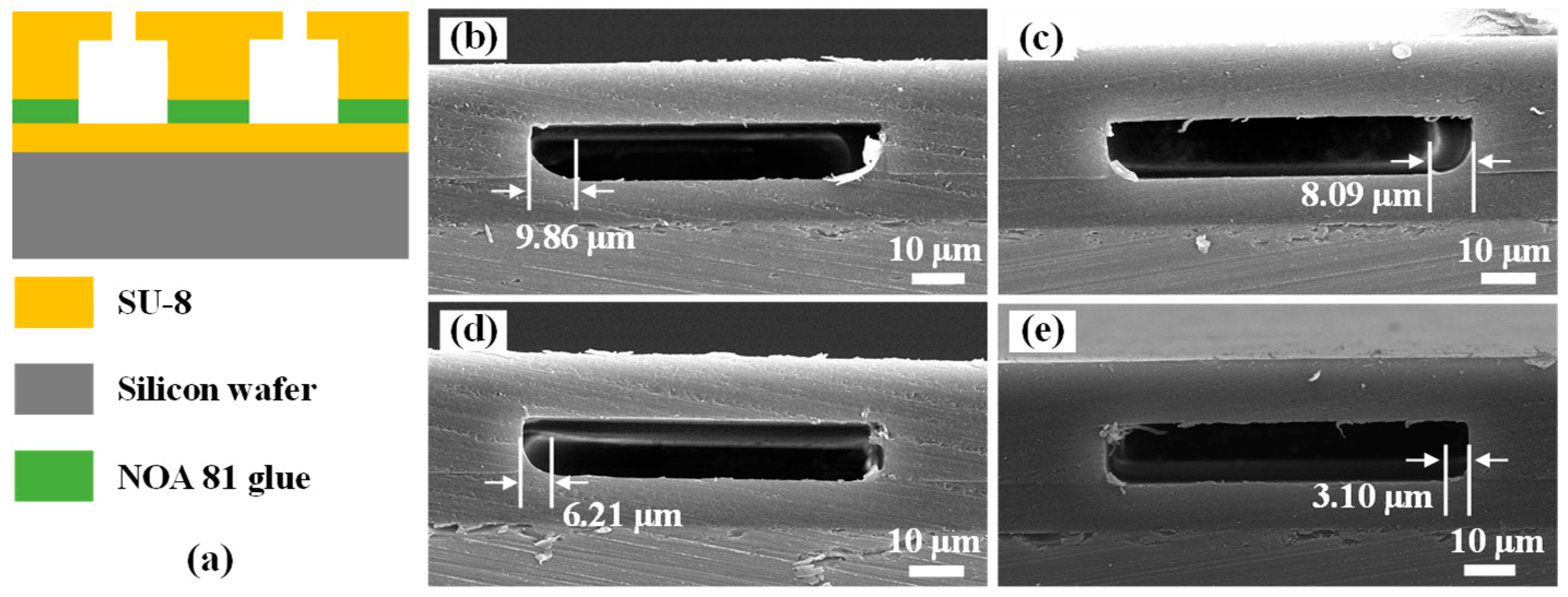 Micromachines 13 00455 g006