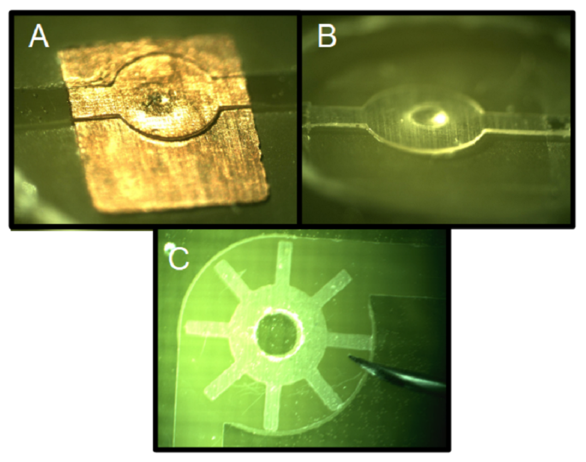 Micromachines 13 00460 g021