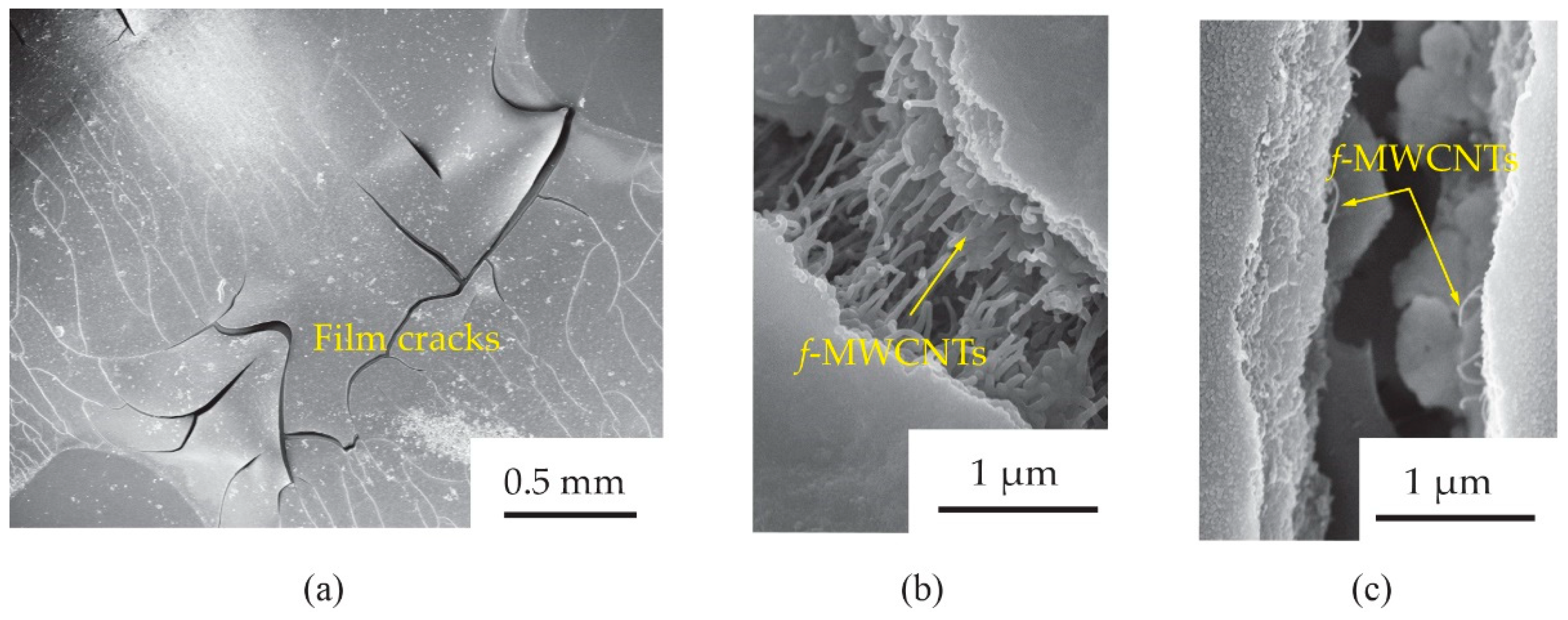 Micromachines 13 00462 g012