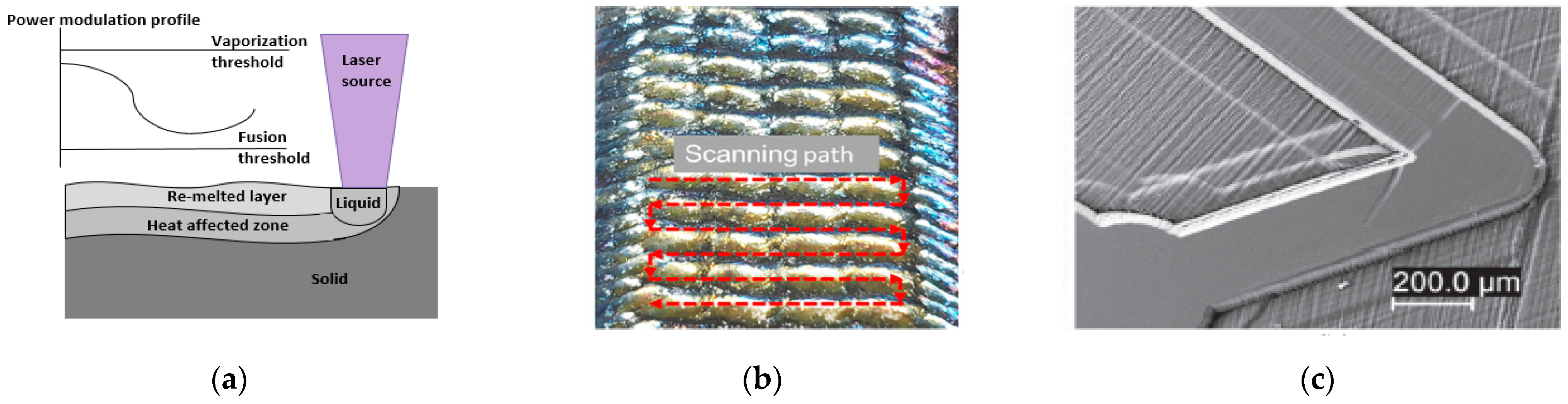 Micromachines 13 00468 g006