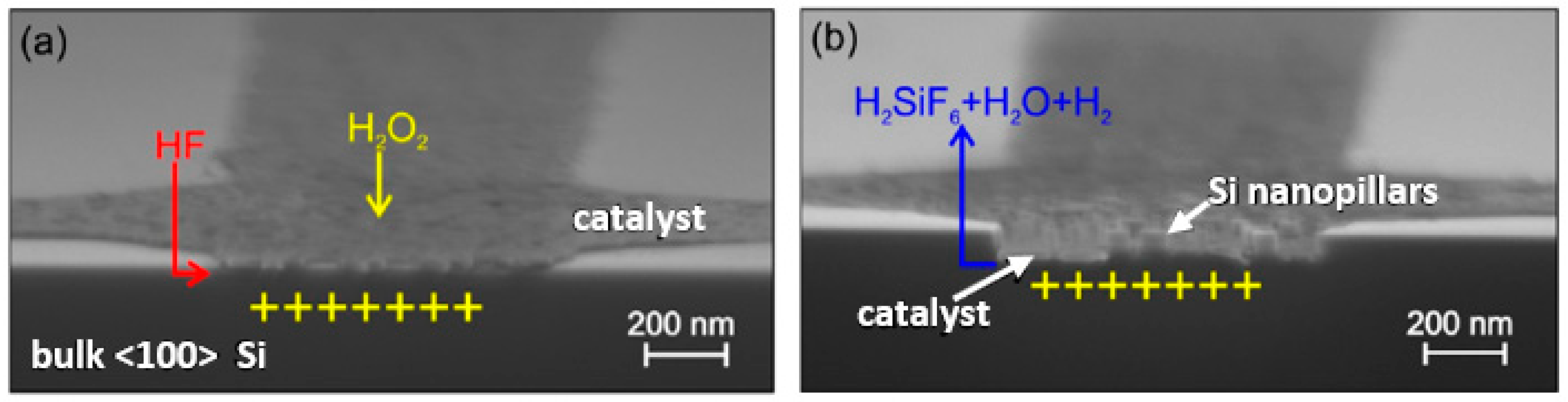 Micromachines 13 00468 g008