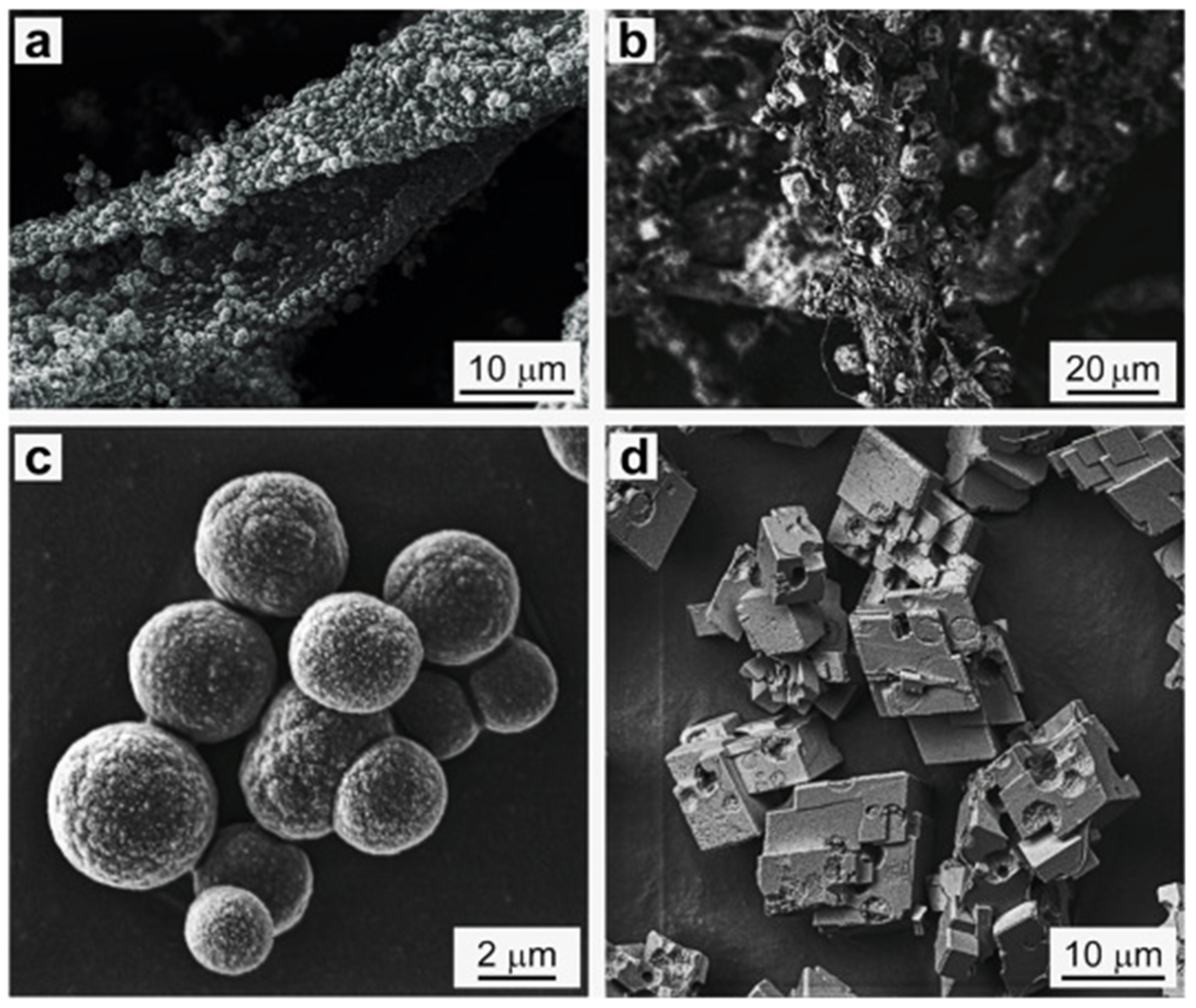 Micromachines 13 00473 g008