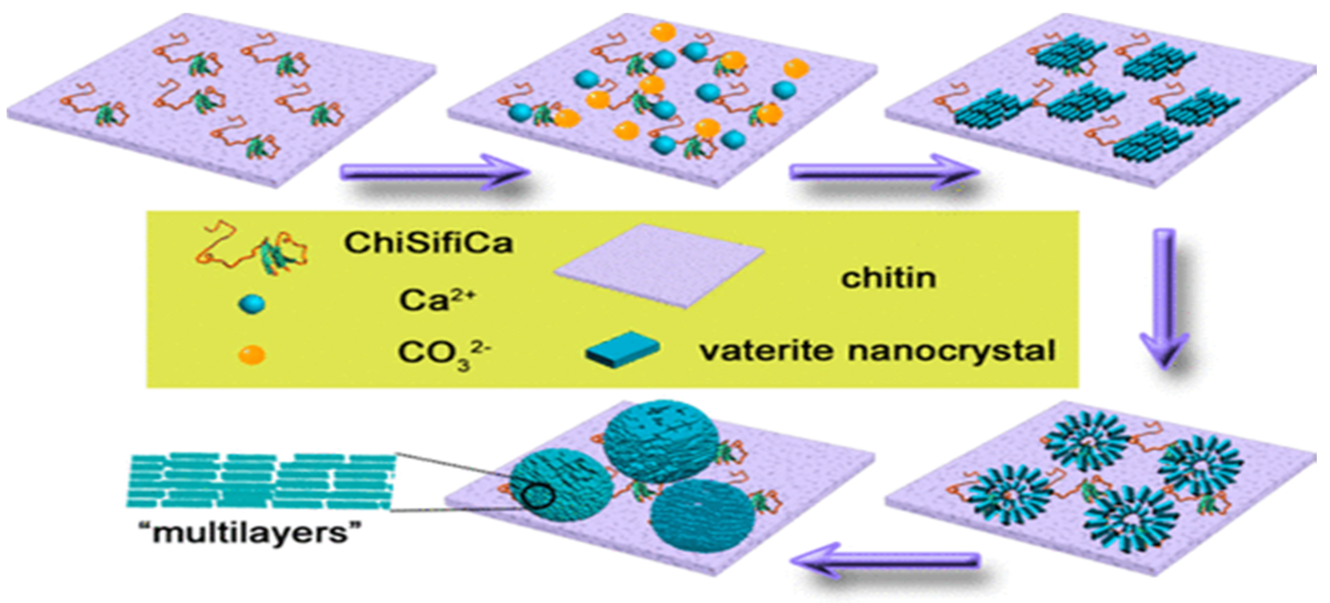 Micromachines 13 00473 g011