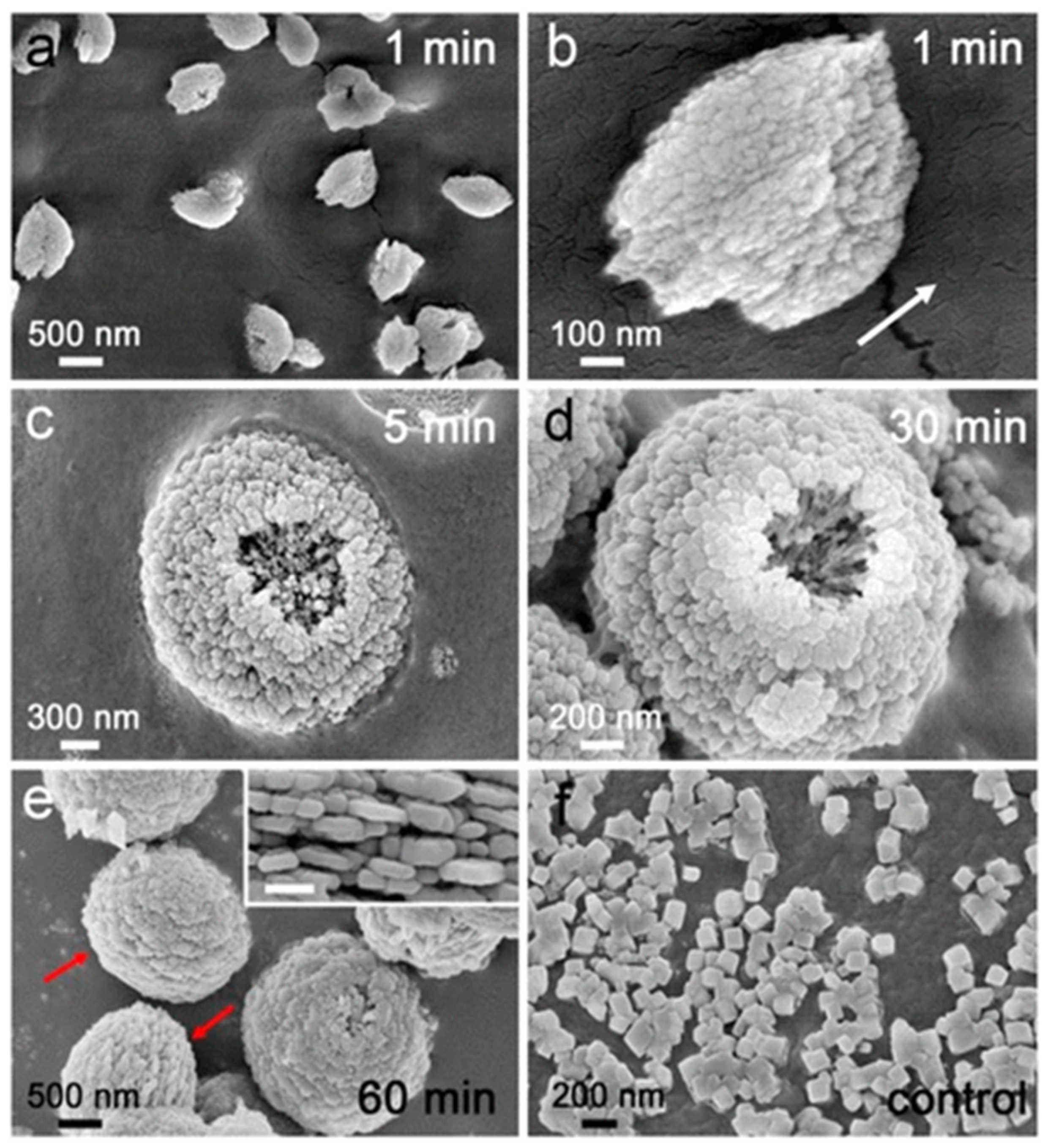 Micromachines 13 00473 g012