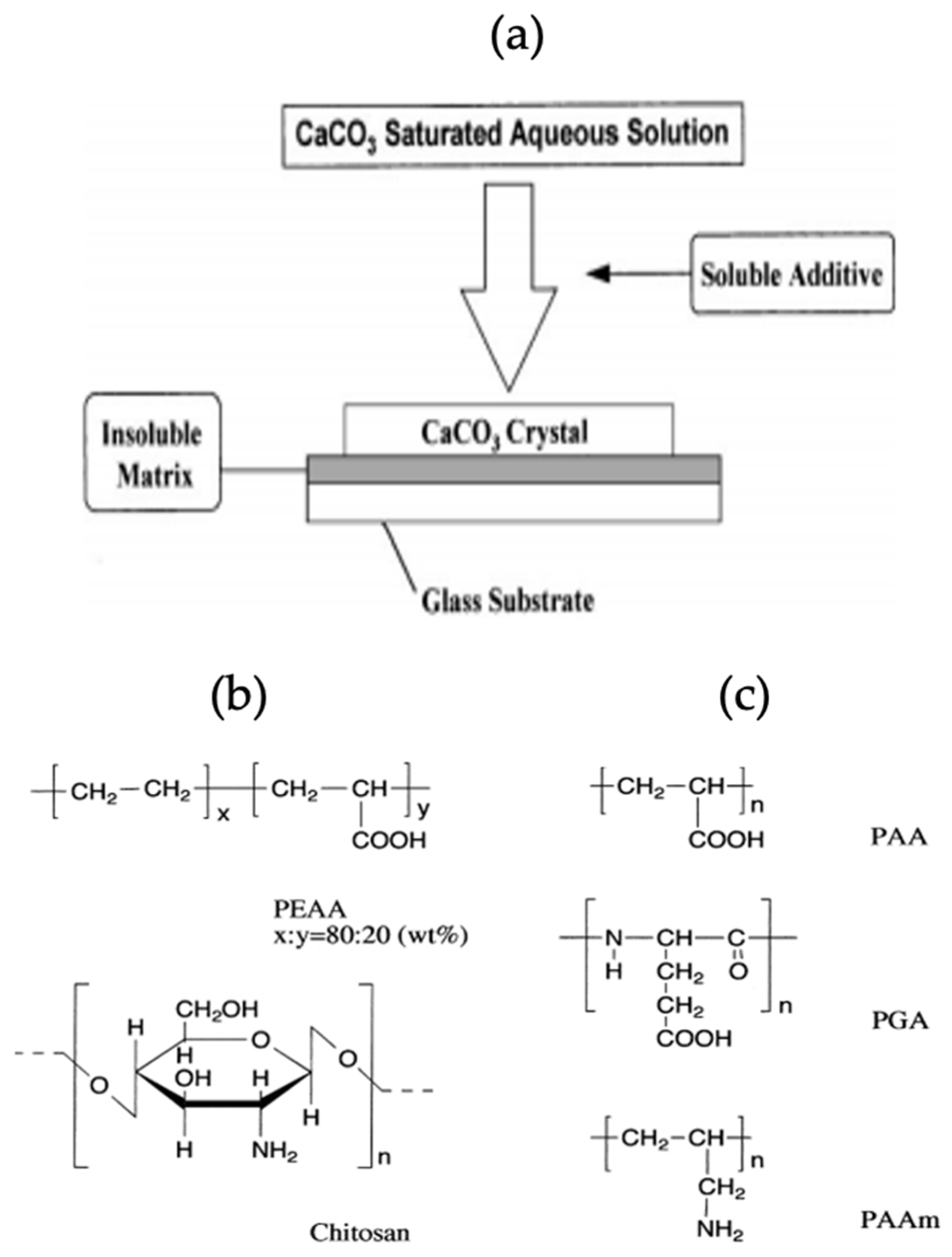 Micromachines 13 00473 g014
