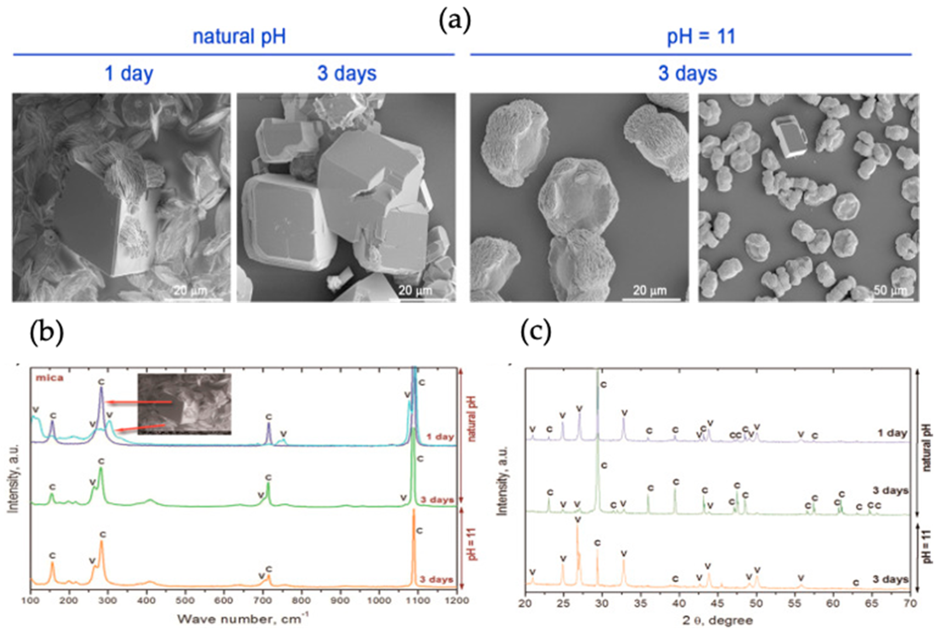 Micromachines 13 00473 g020