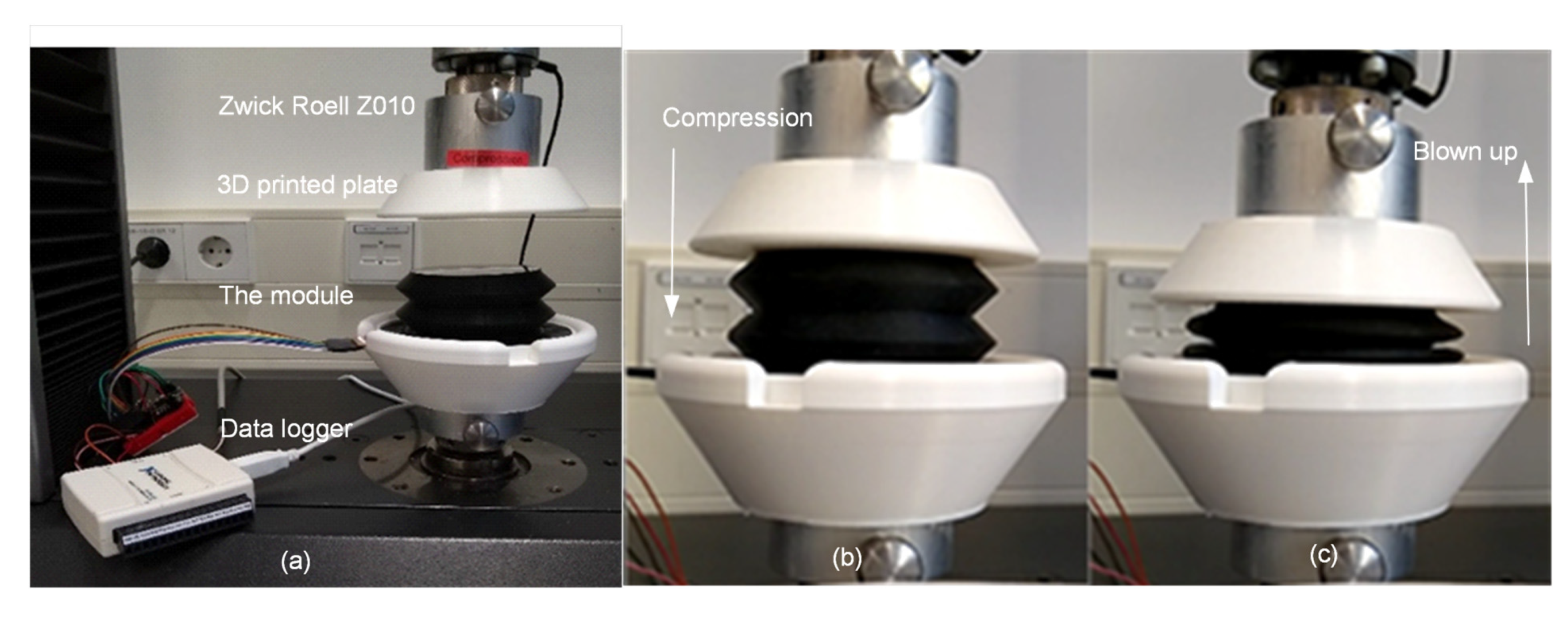 Micromachines 13 00477 g006