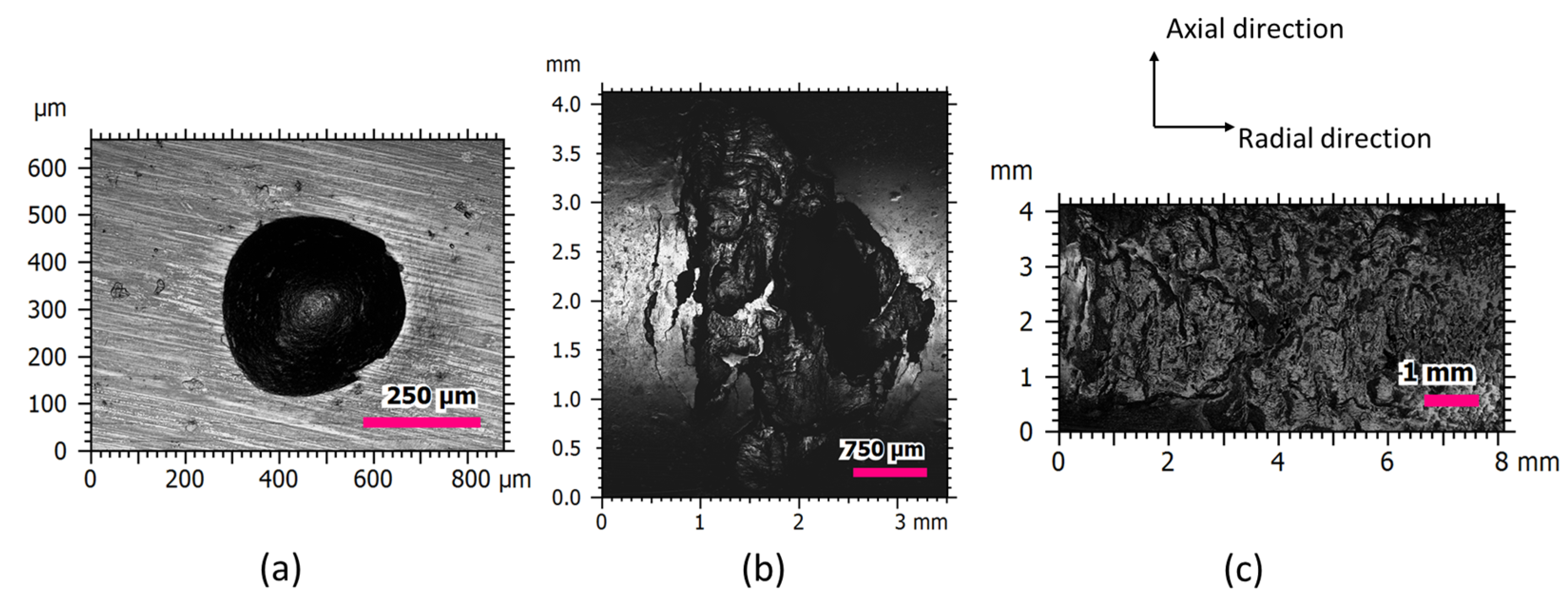 Micromachines 13 00483 g006
