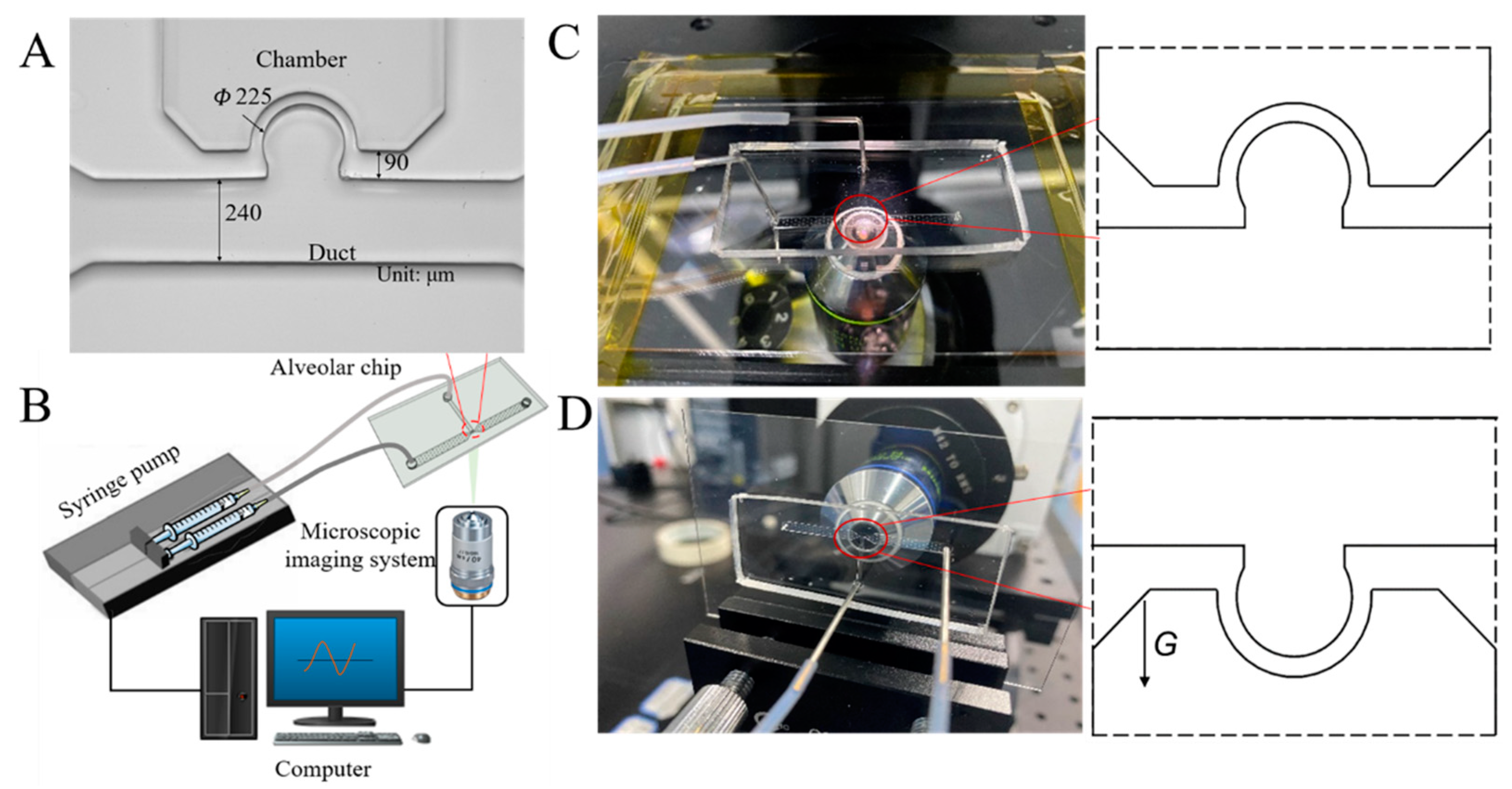 Micromachines 13 00485 g001