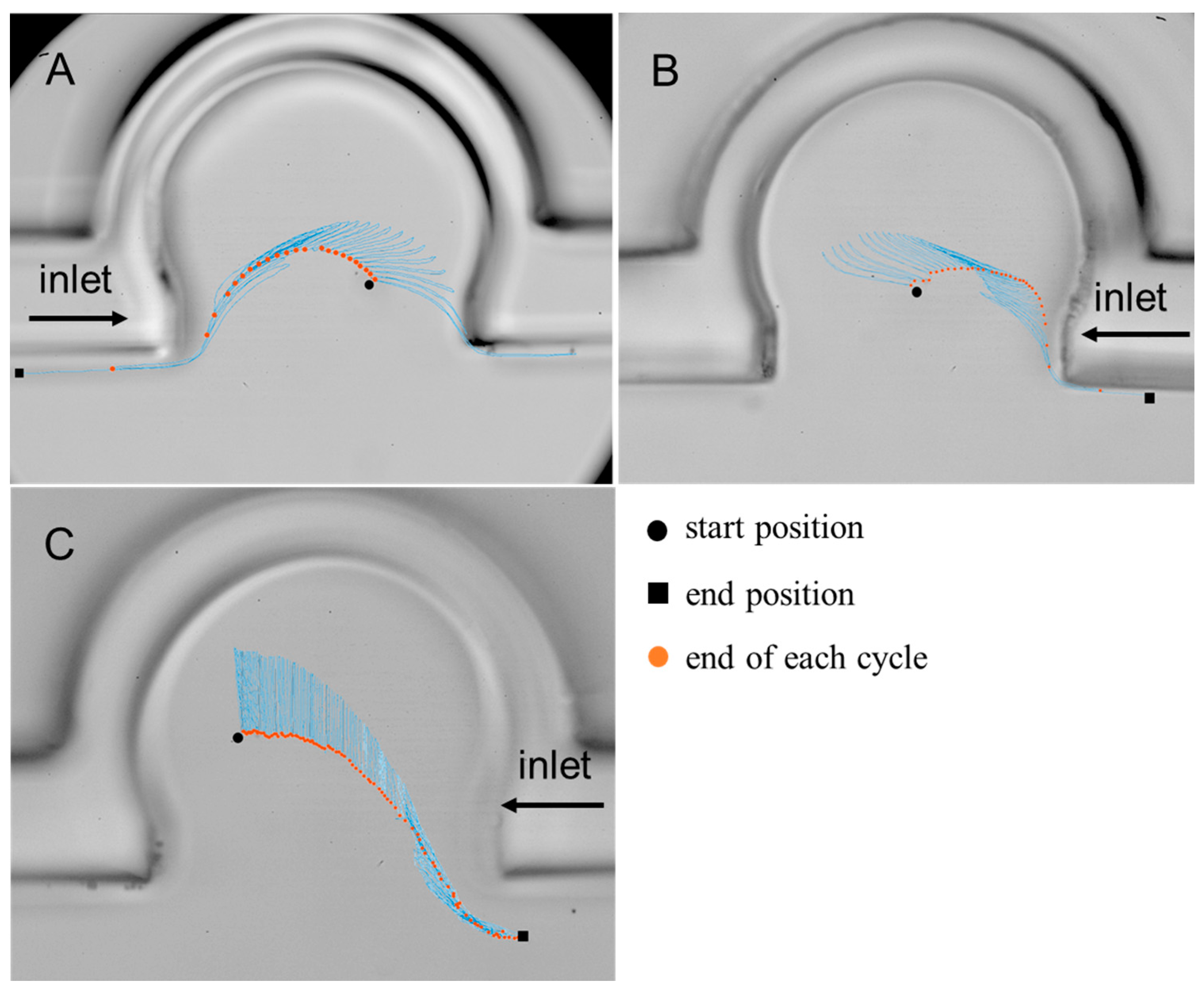 Micromachines 13 00485 g003