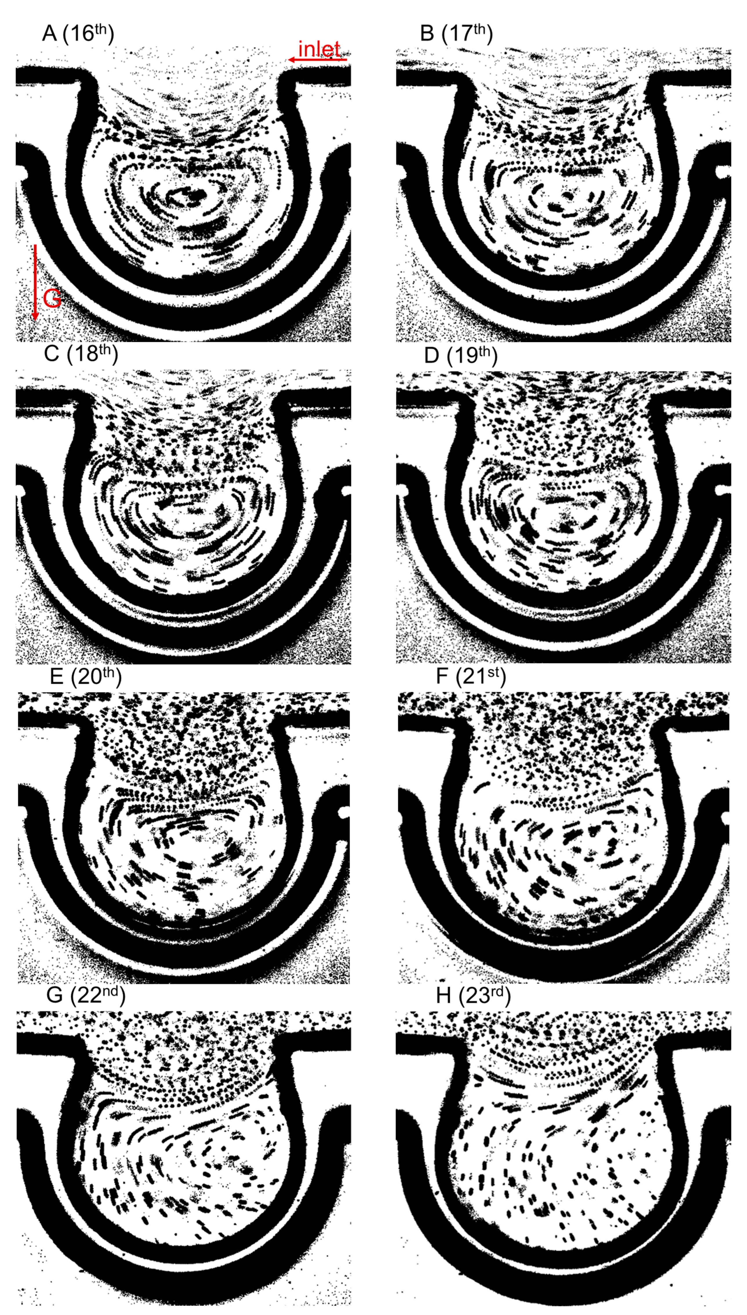Micromachines 13 00485 g004