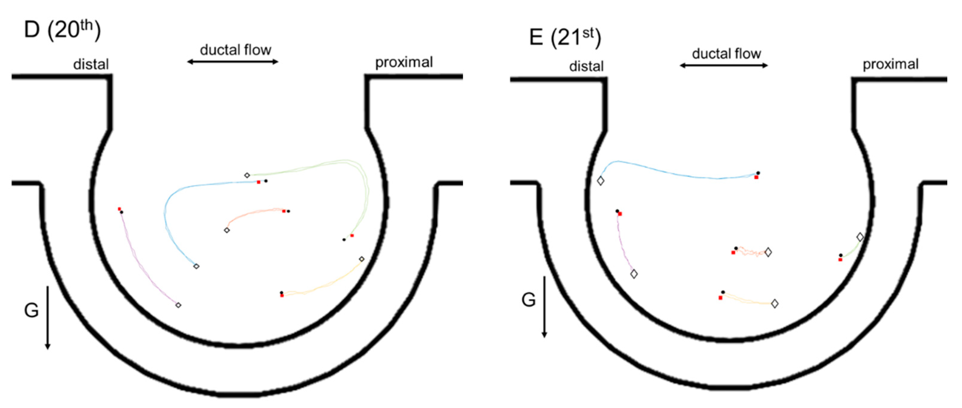 Micromachines 13 00485 g005b