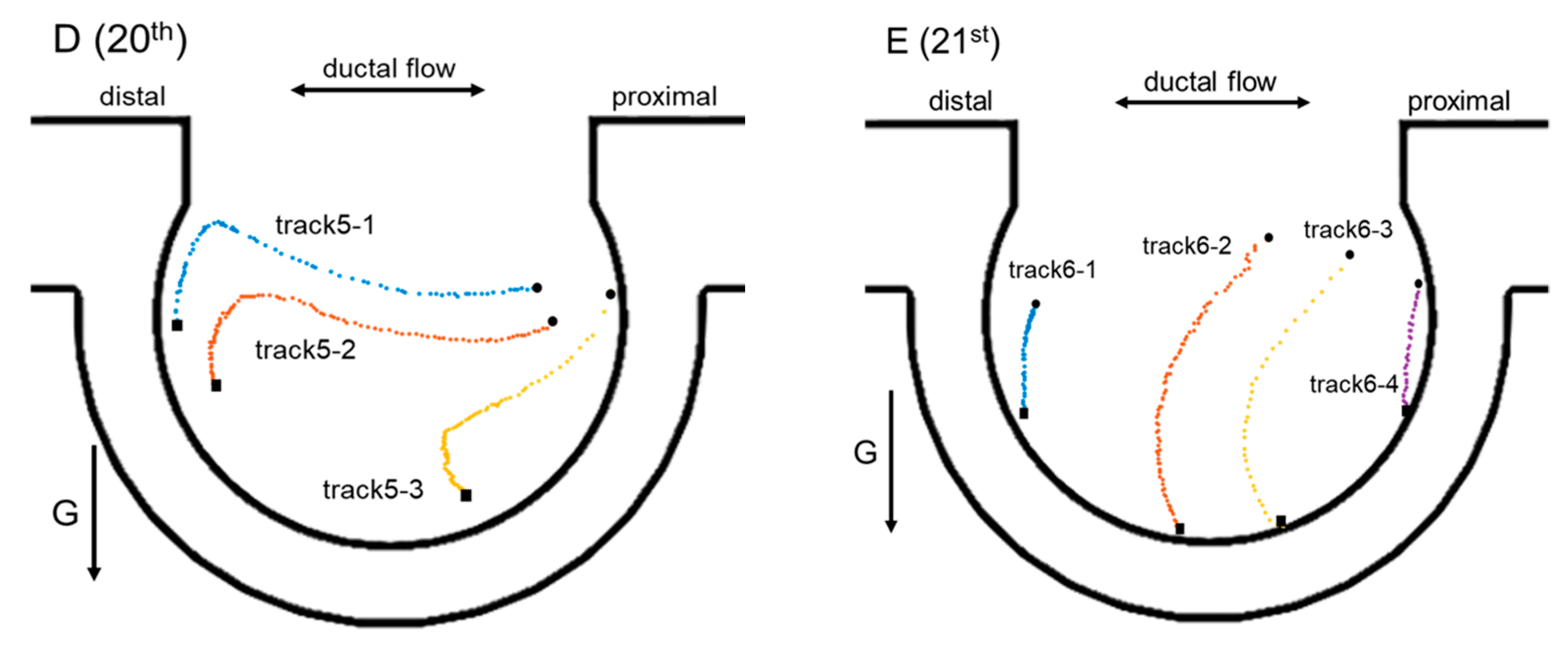 Micromachines 13 00485 g006b