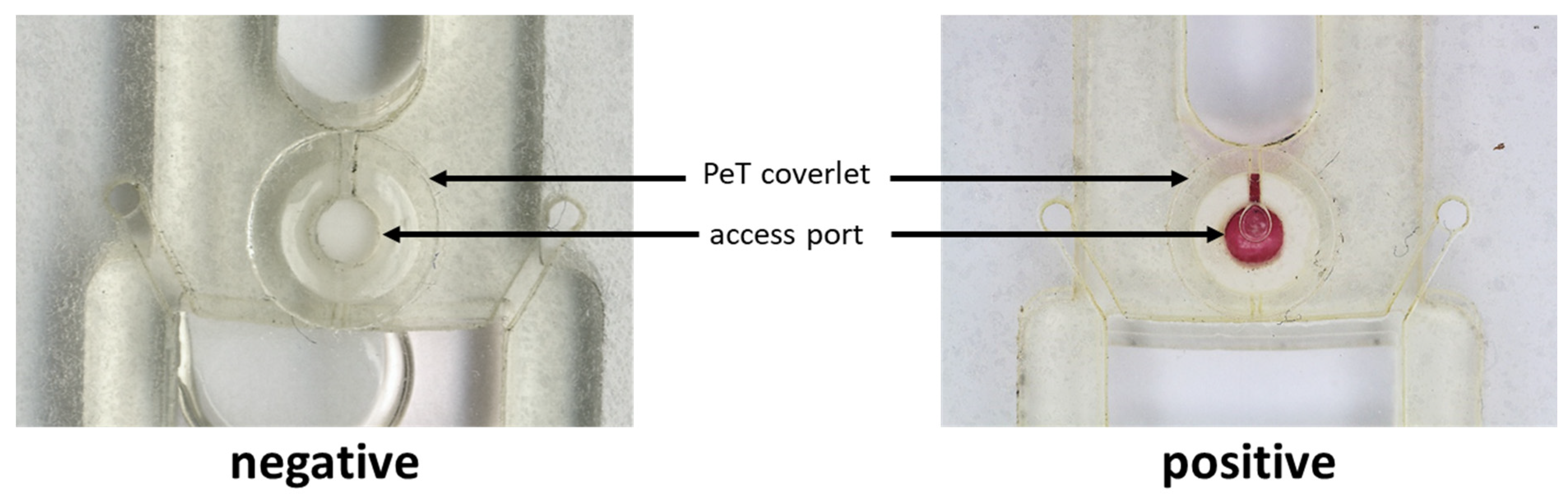 Micromachines 13 00487 g006