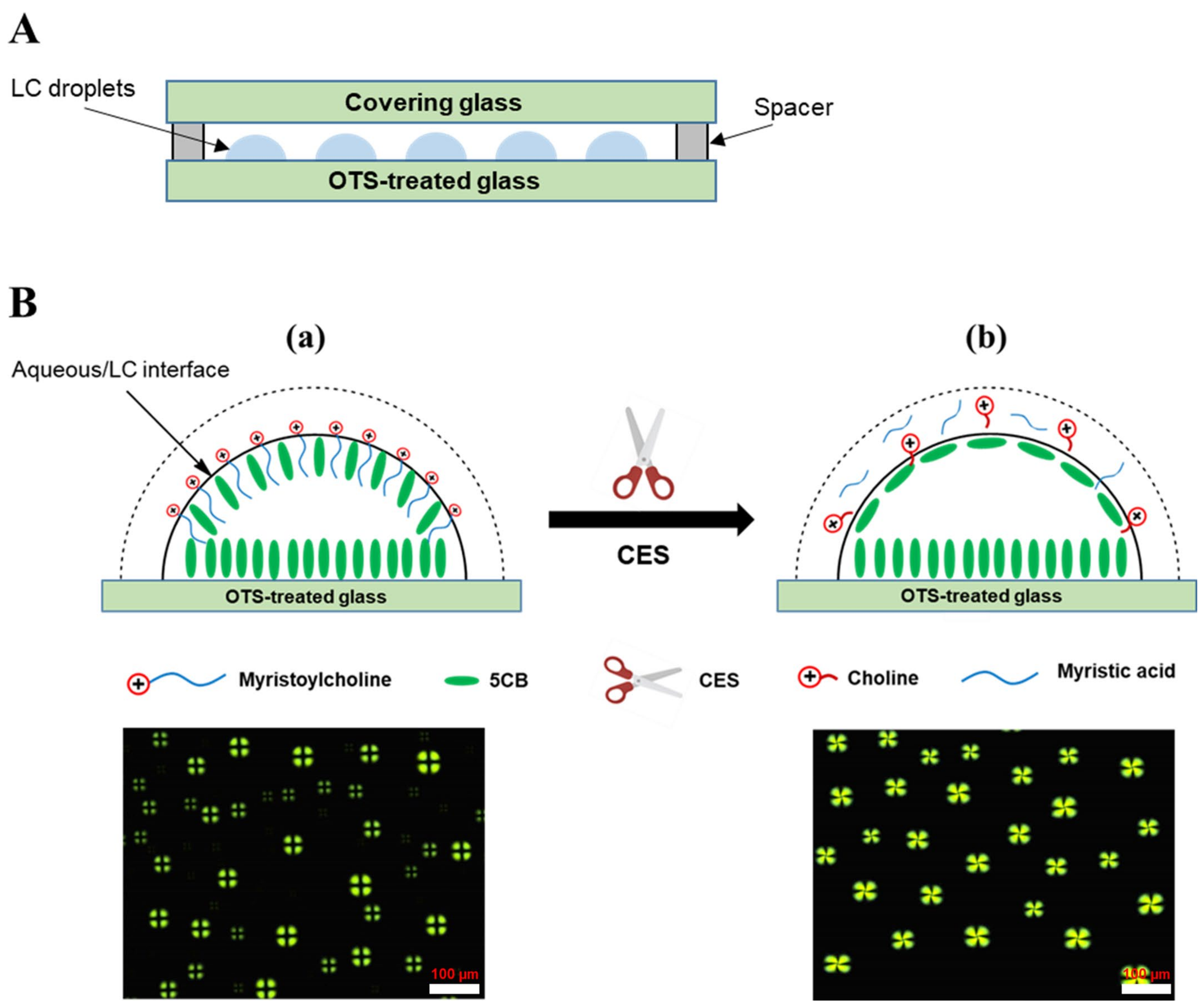 Micromachines 13 00490 g001