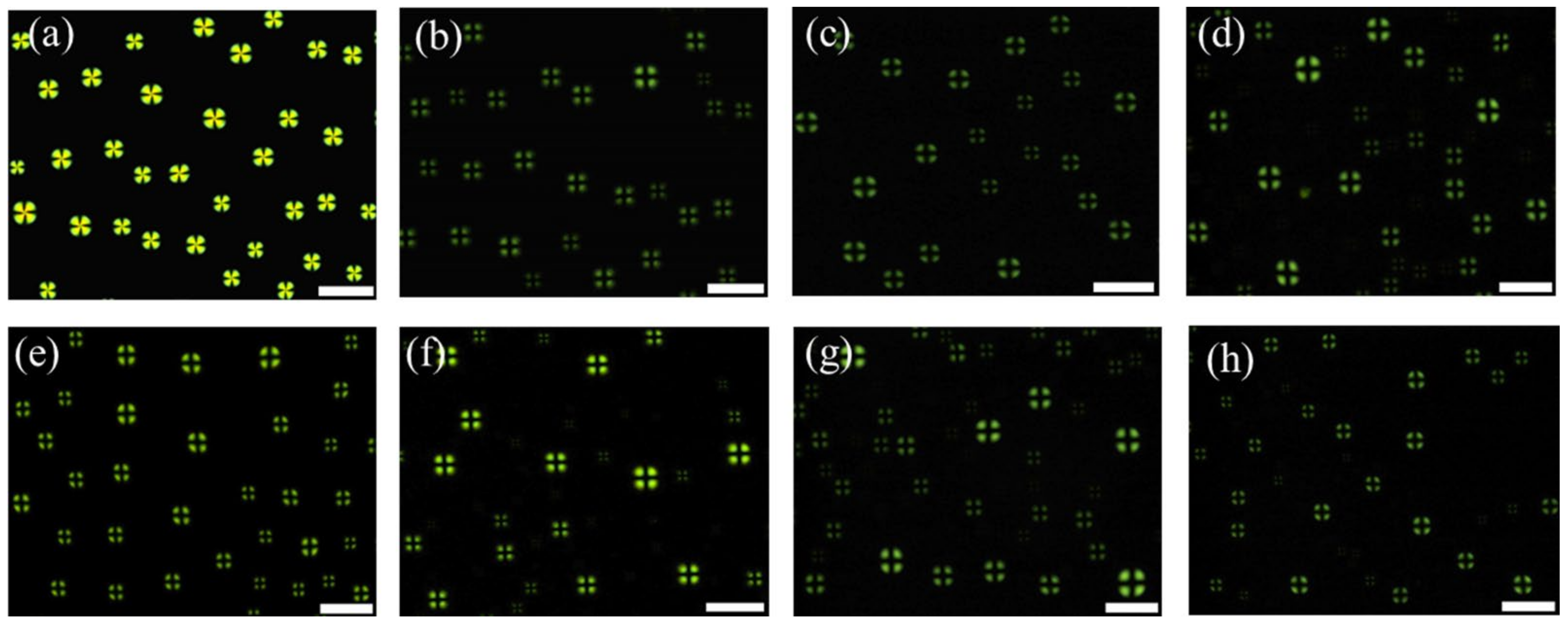 Micromachines 13 00490 g004