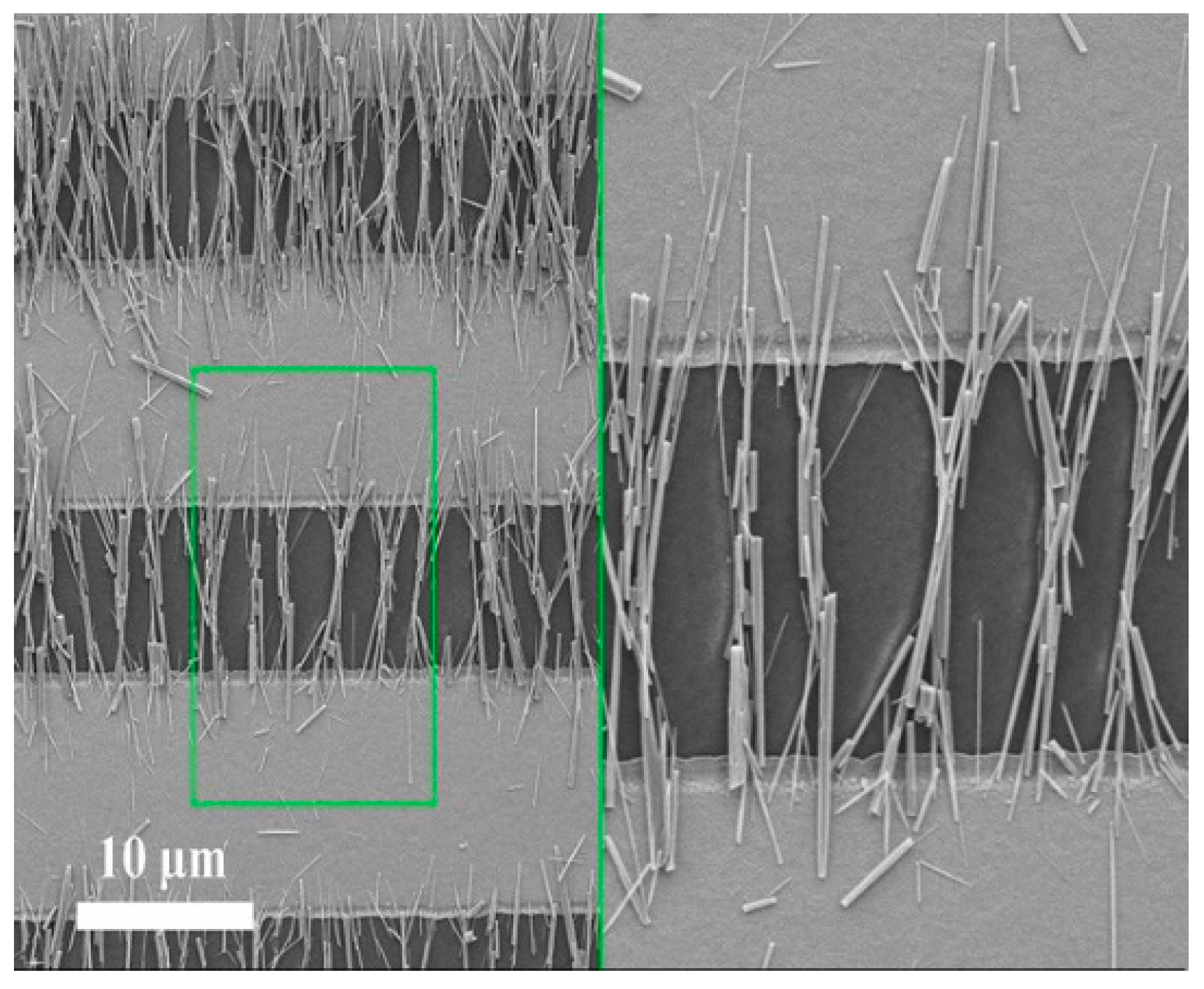 Micromachines 13 00491 g010
