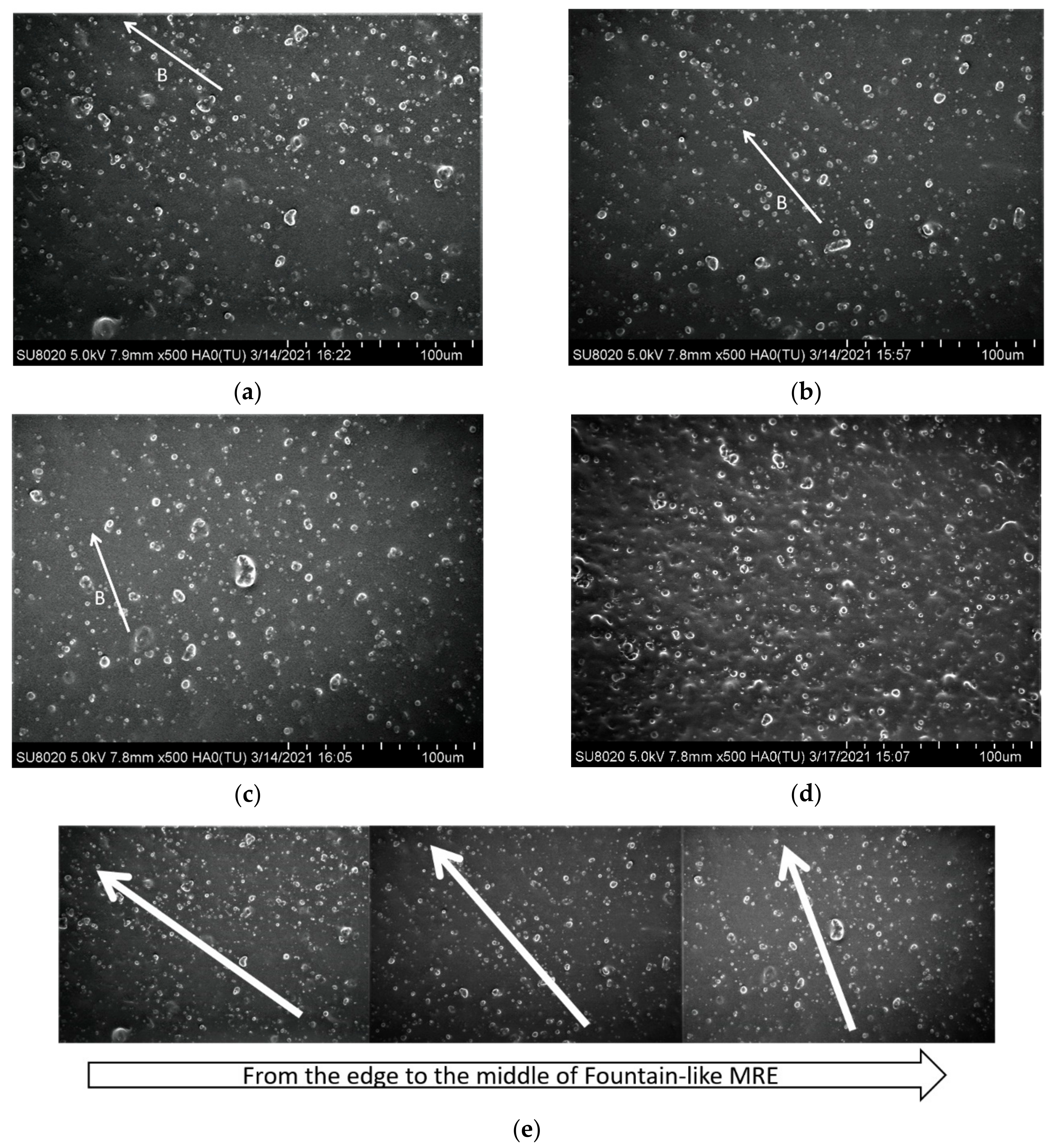 Micromachines 13 00492 g012
