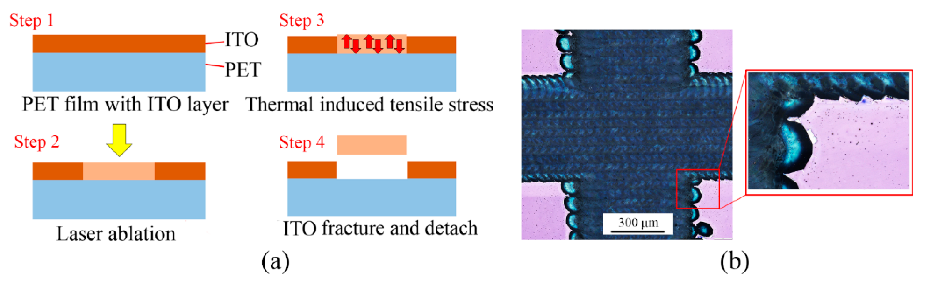 Micromachines 13 00498 g002