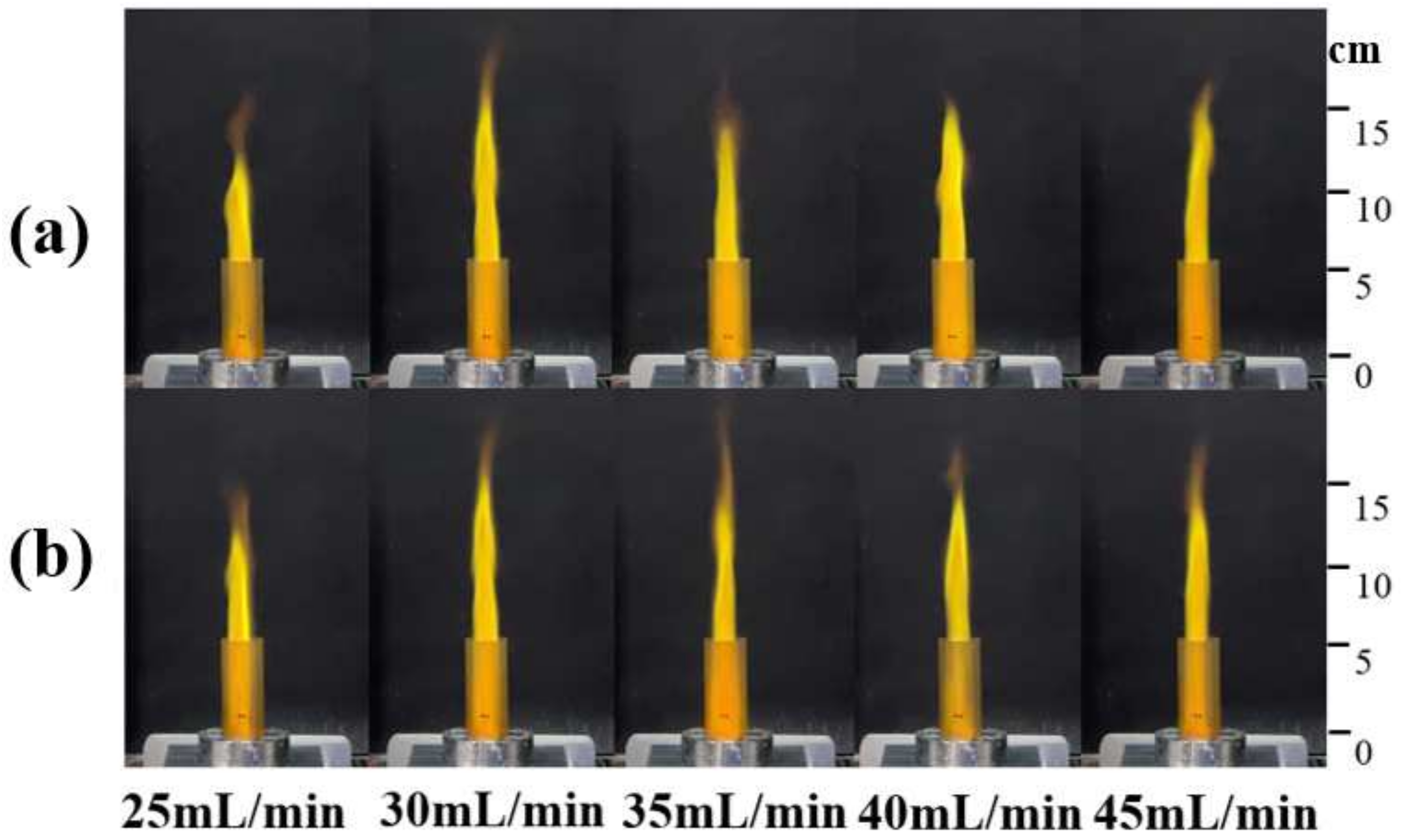 Micromachines 13 00510 g010