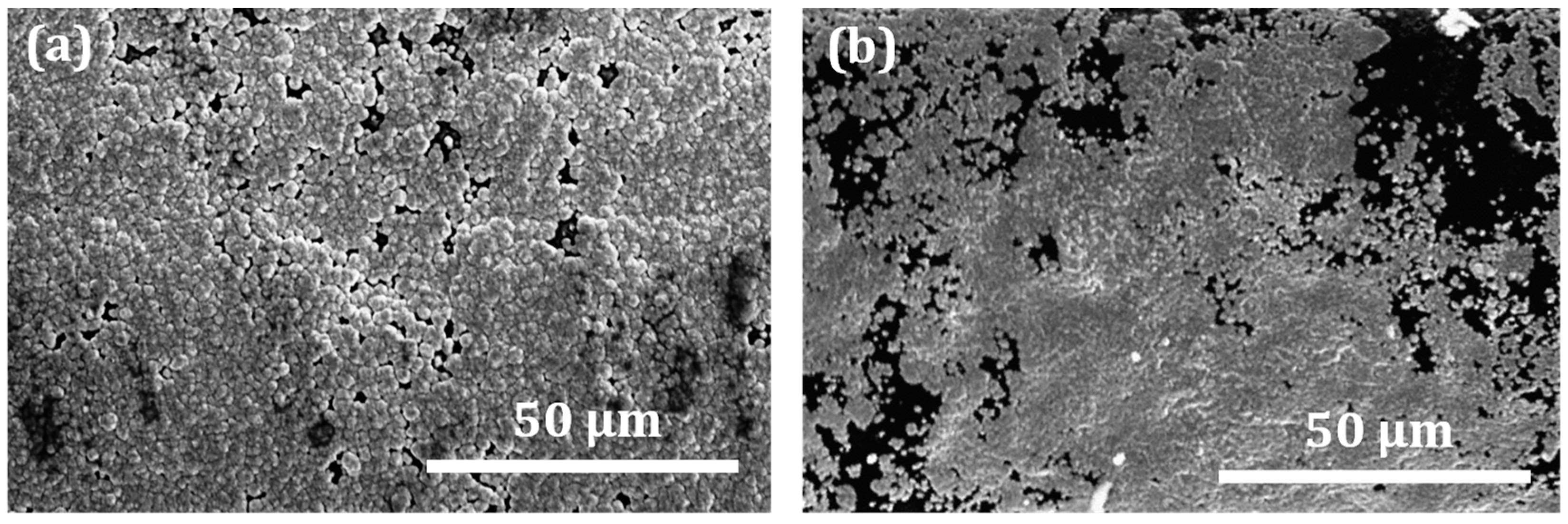 Micromachines 13 00515 g005