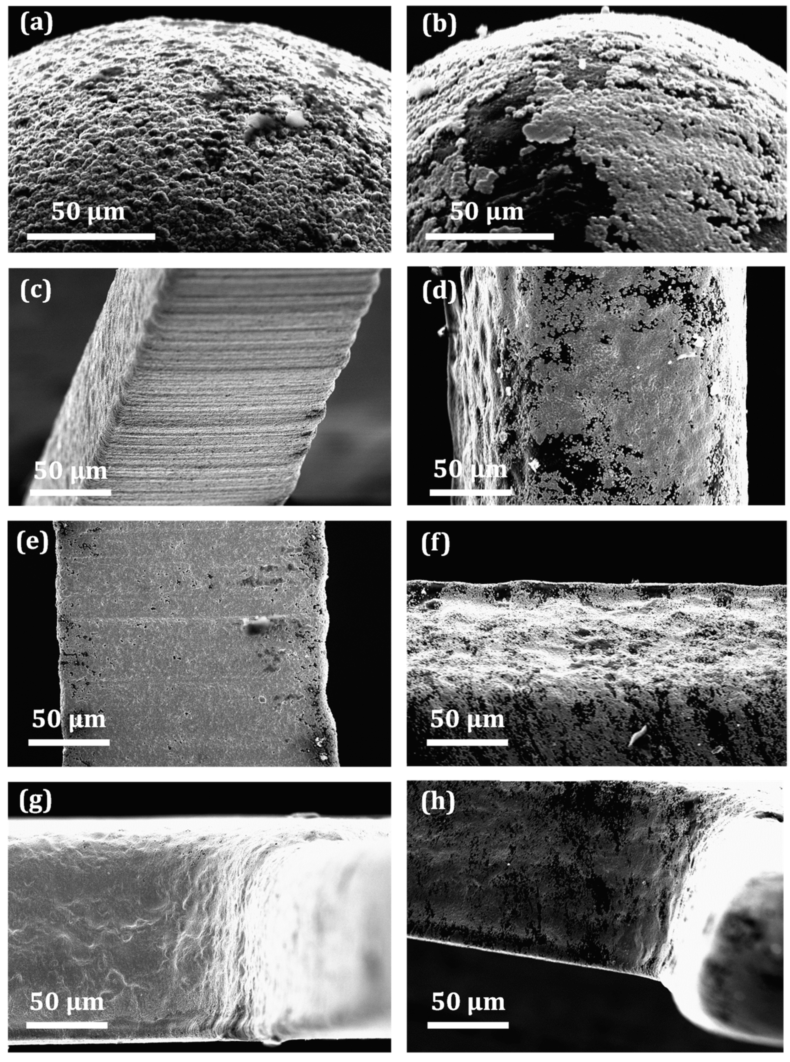 Micromachines 13 00515 g006