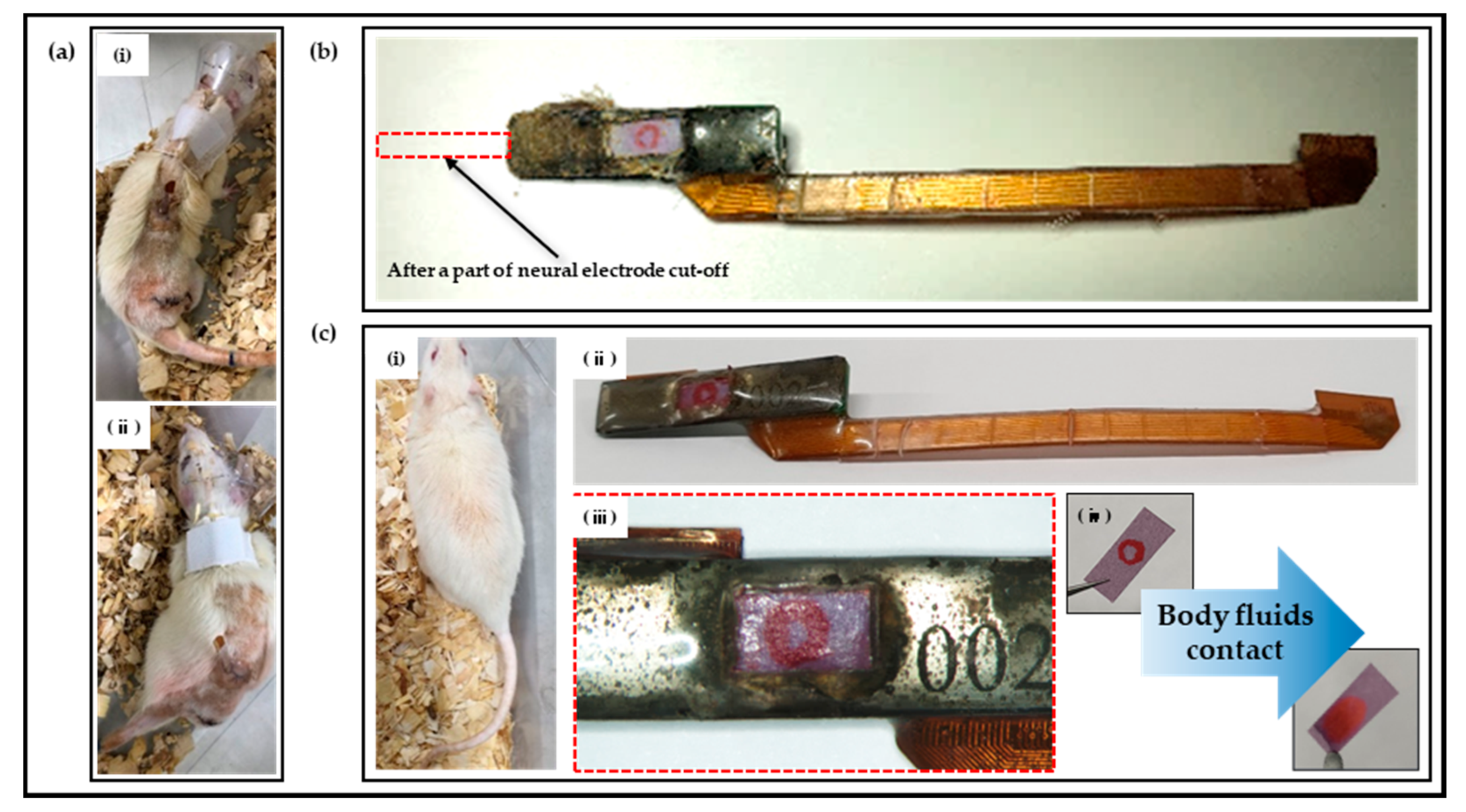 Micromachines 13 00516 g008