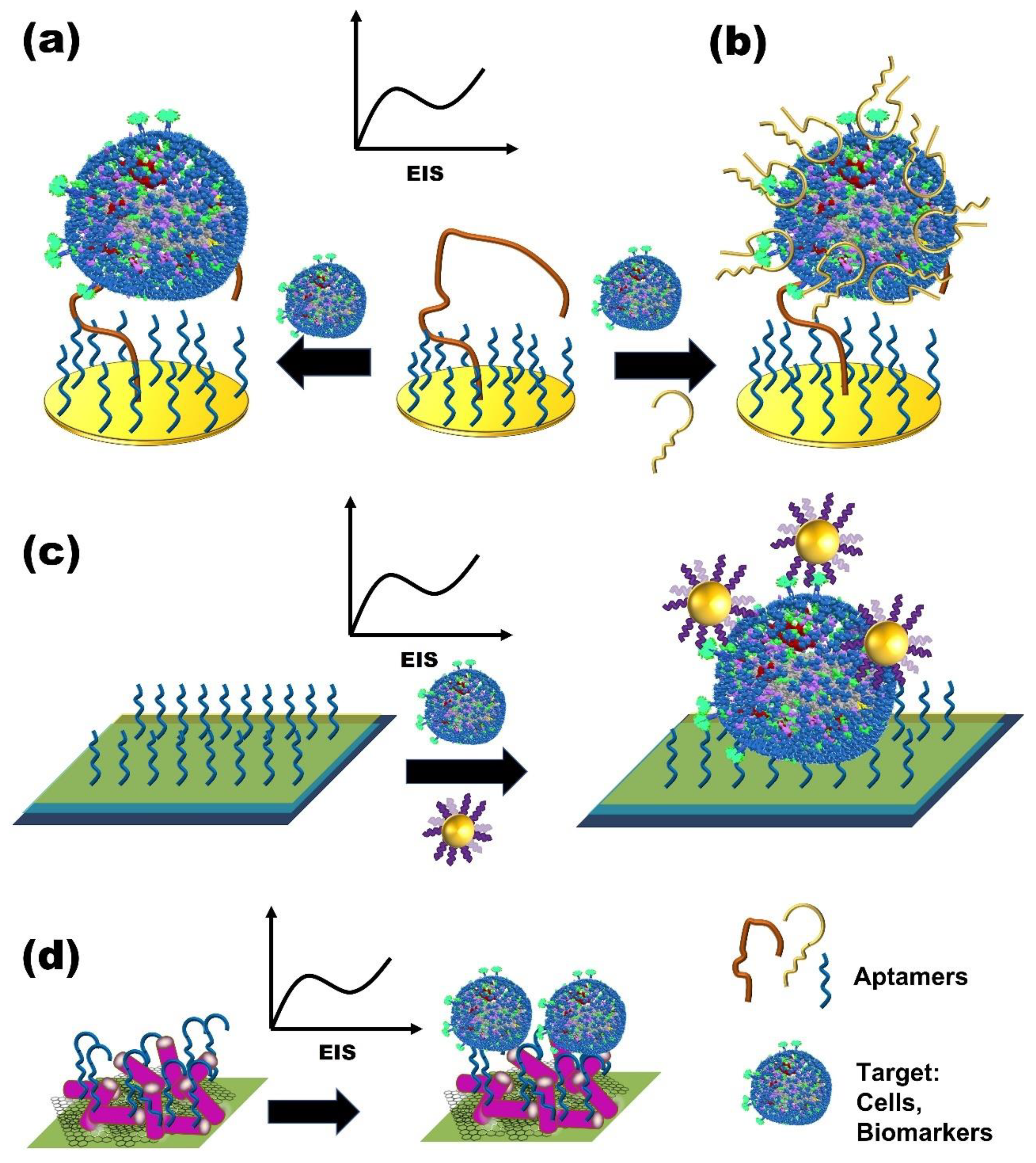 Micromachines 13 00522 g003