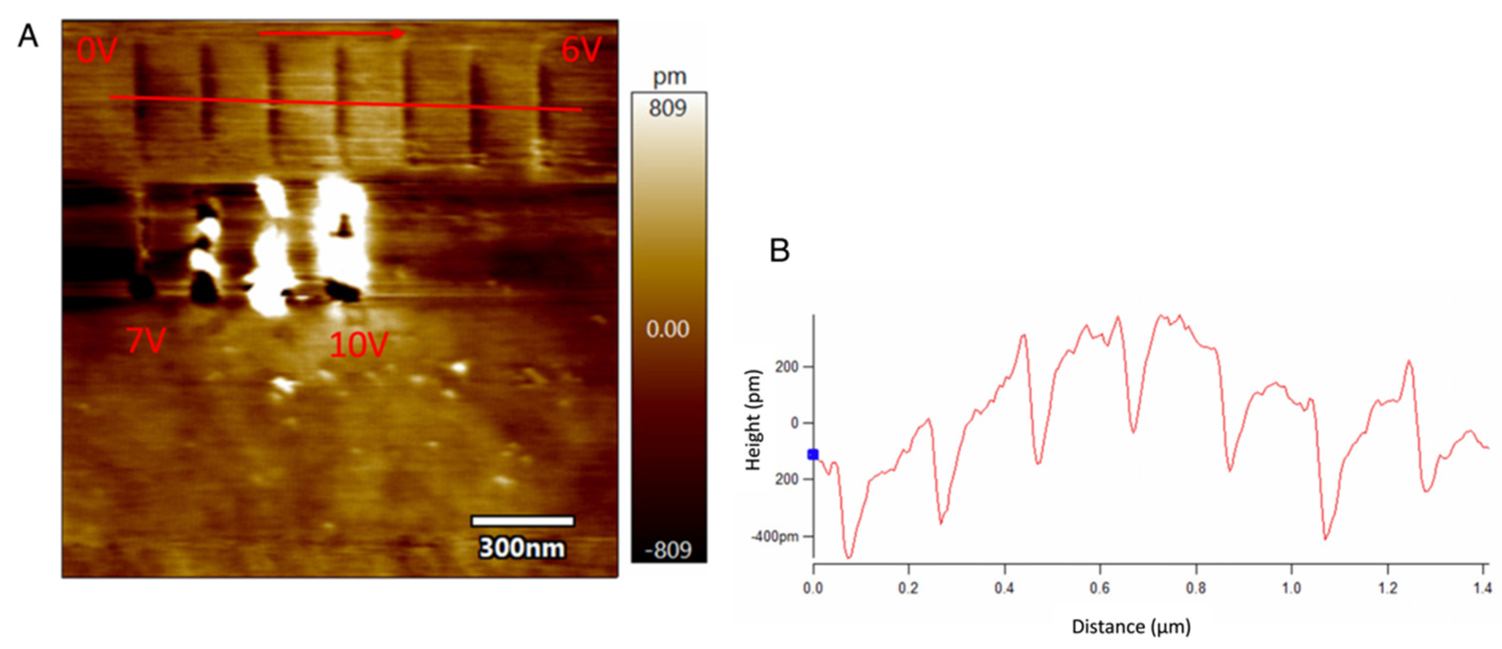 Micromachines 13 00524 g006