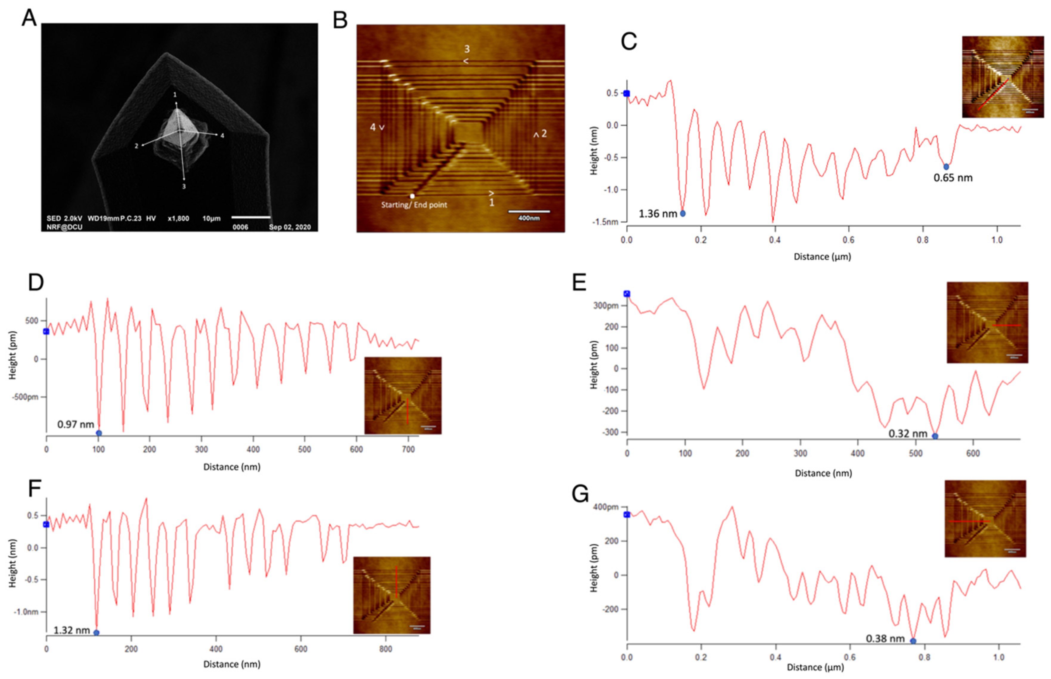 Micromachines 13 00524 g007