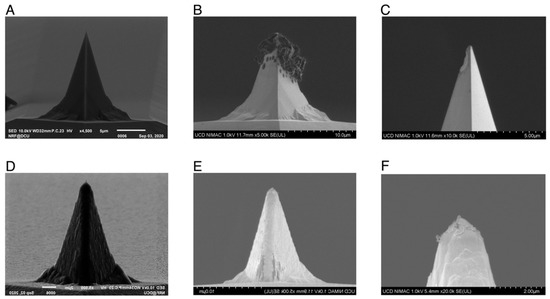 Micromachines 13 00524 g0a3 550