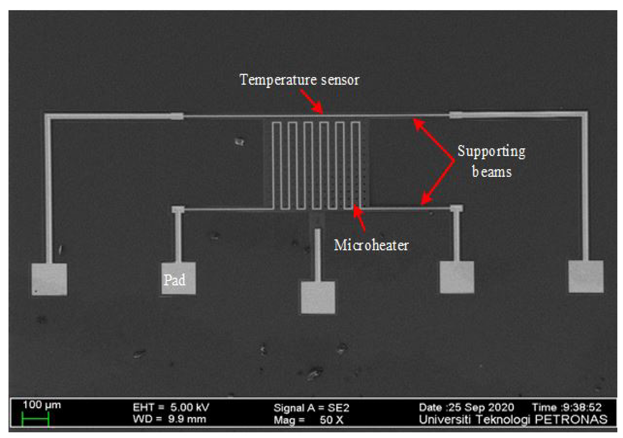 Micromachines 13 00525 g006