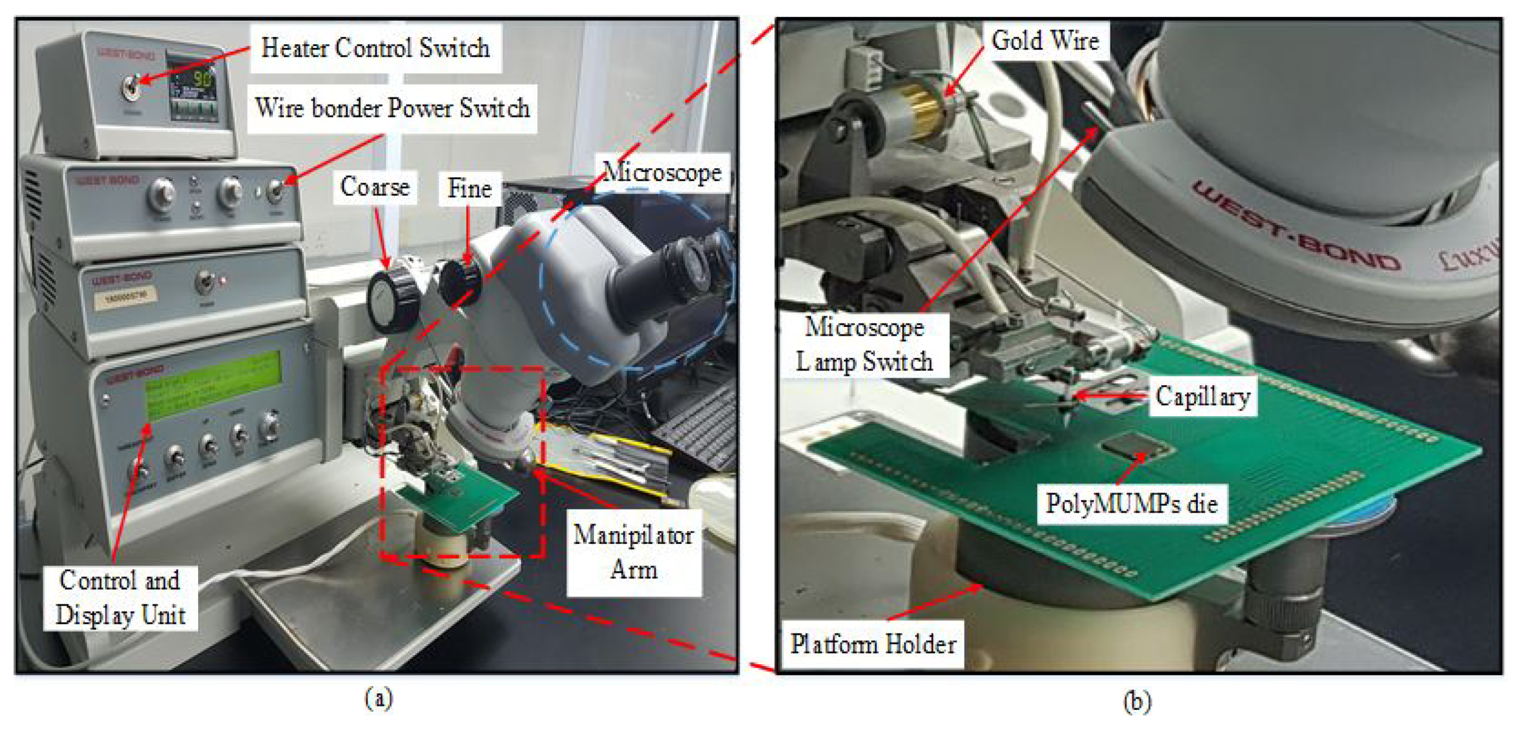 Micromachines 13 00525 g010