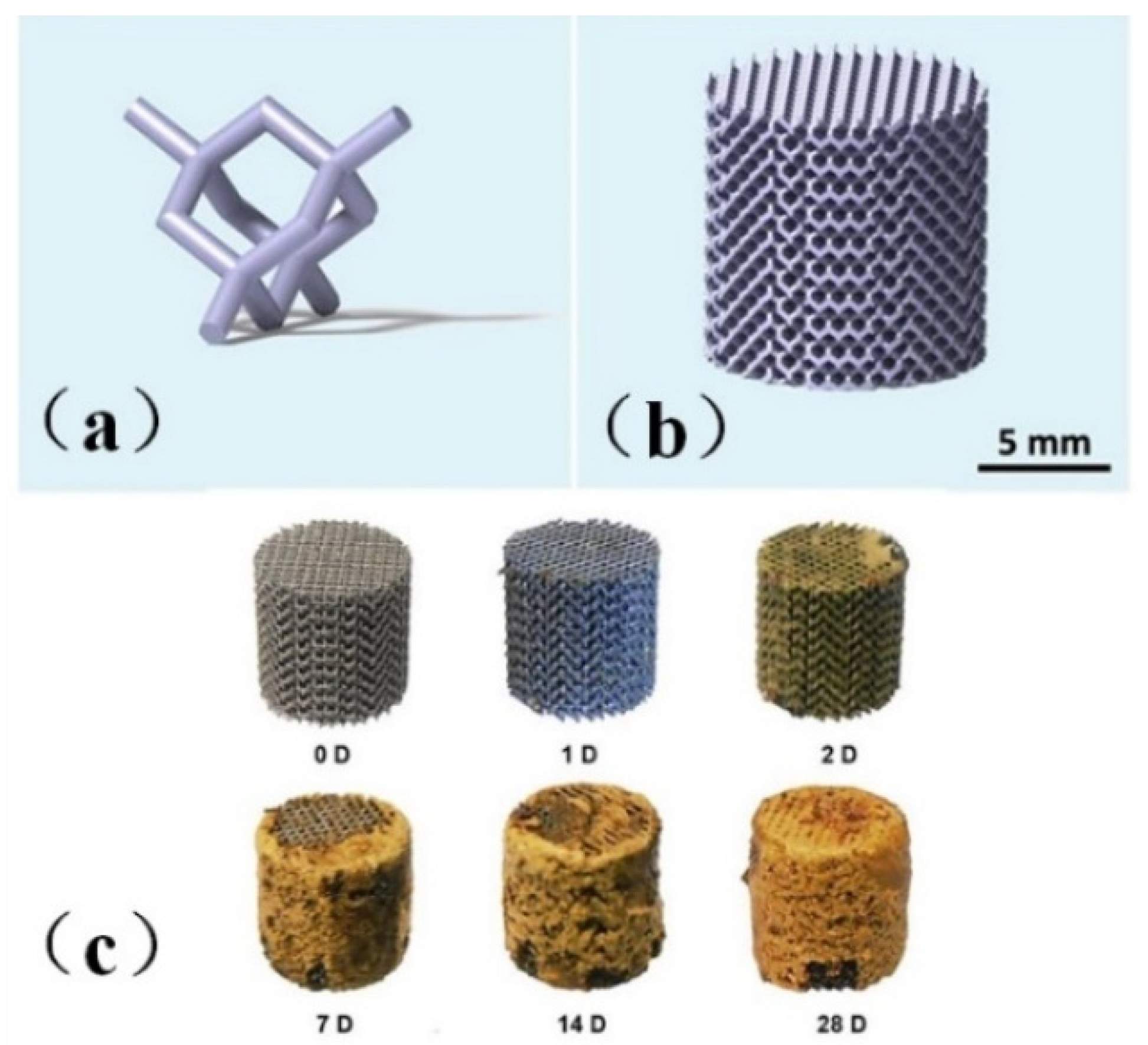 Micromachines 13 00528 g001