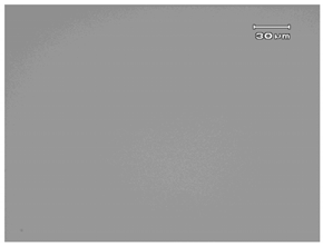 Micromachines 13 00535 i014