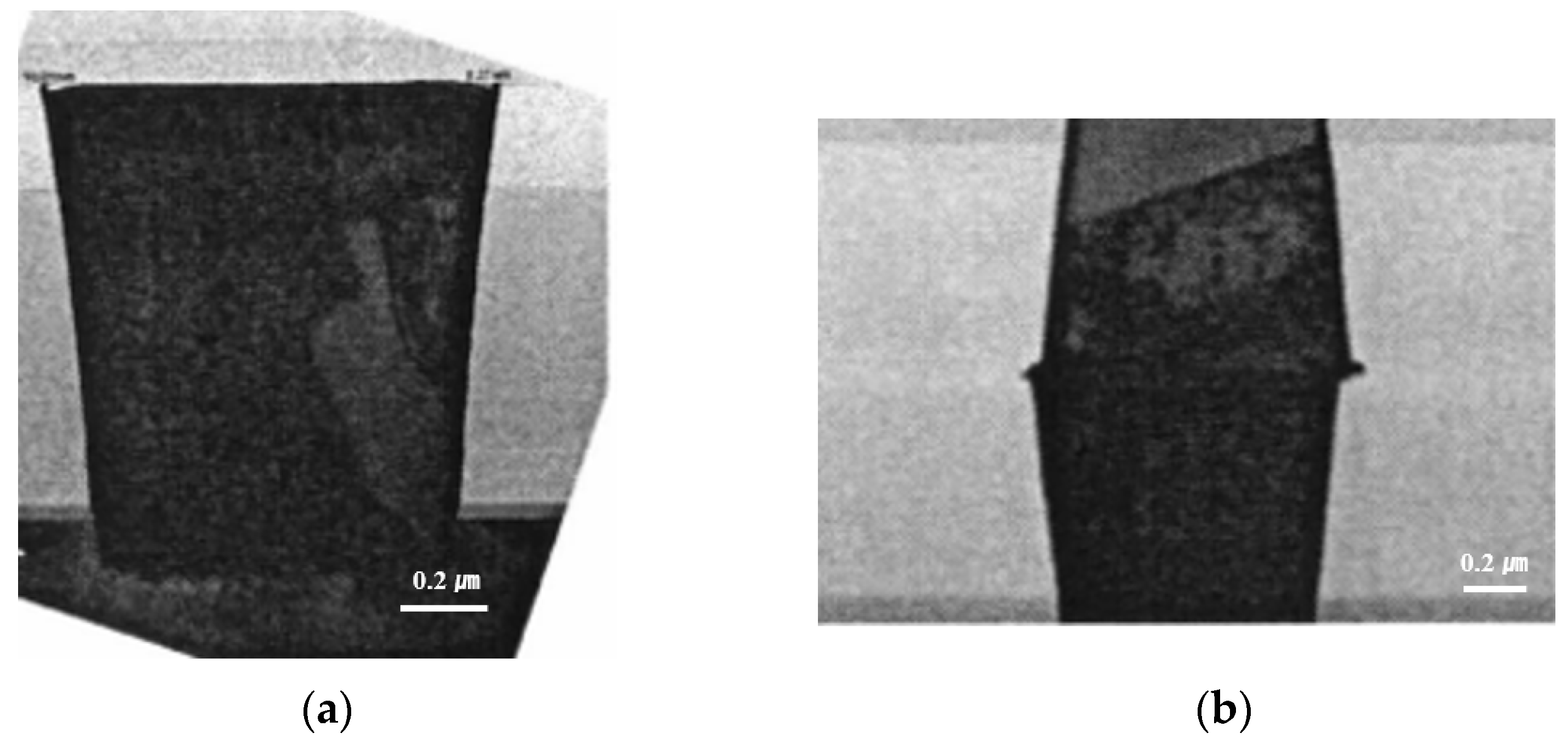 Micromachines 13 00537 g003