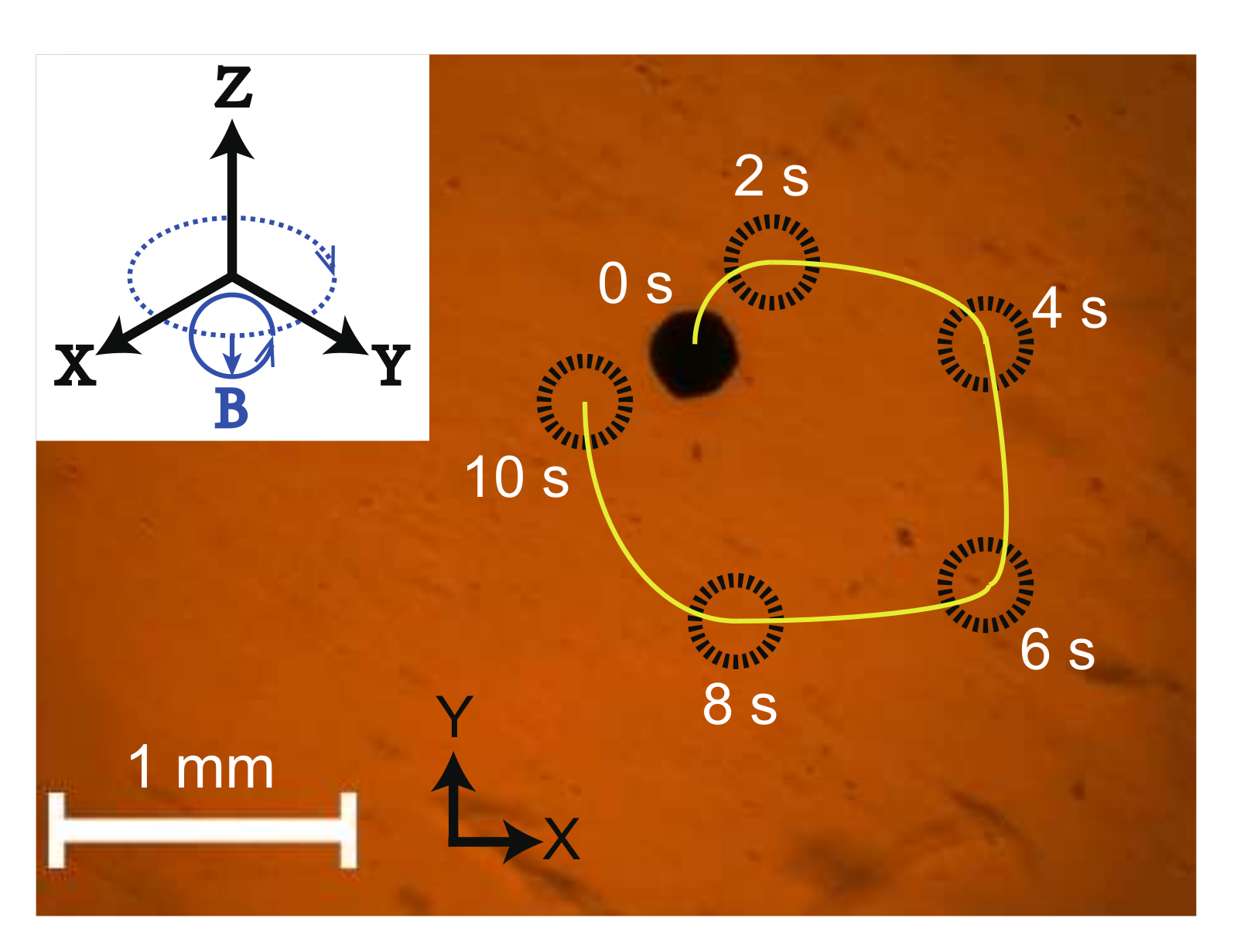 Micromachines 13 00542 g009
