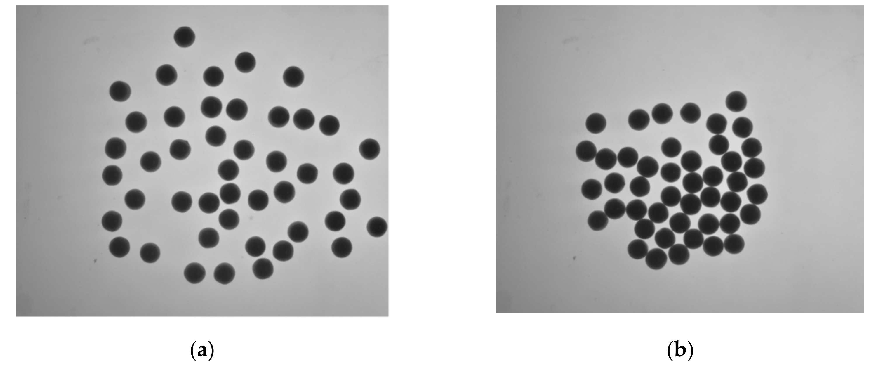 Micromachines 13 00546 g009