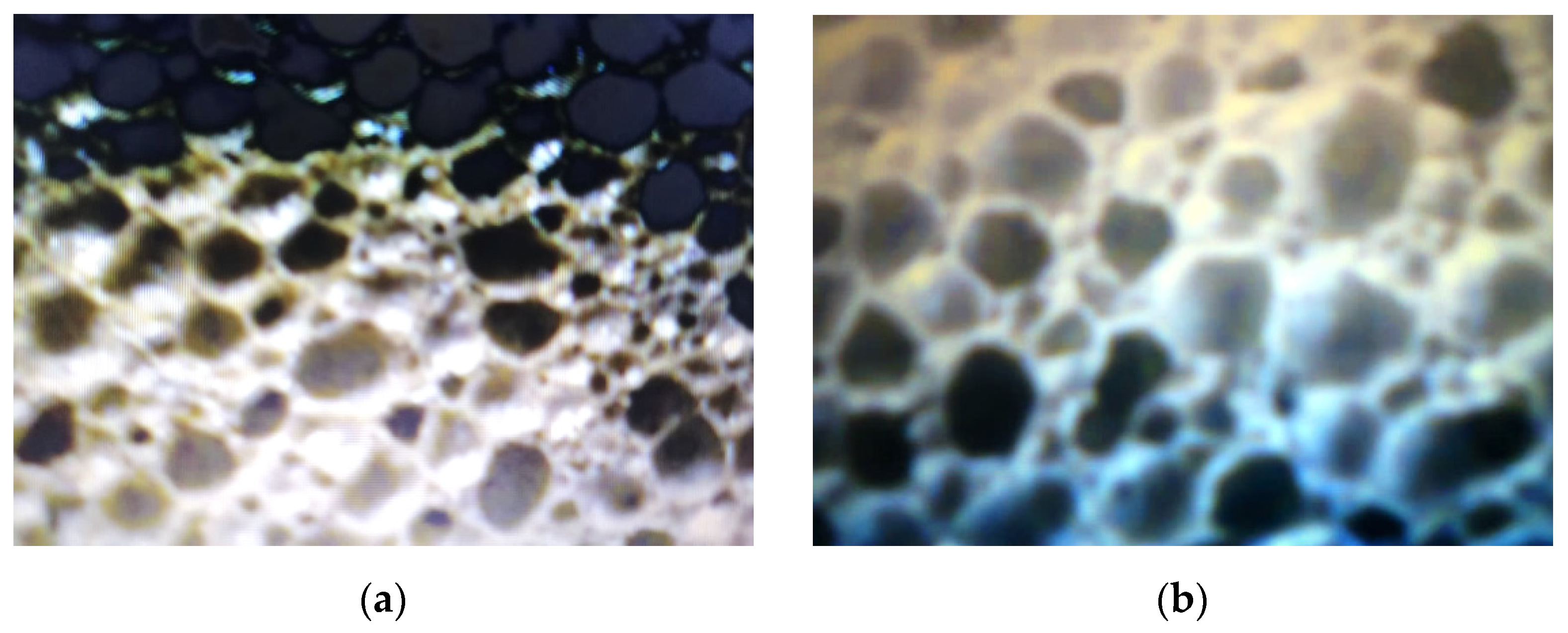 Micromachines 13 00550 g003a