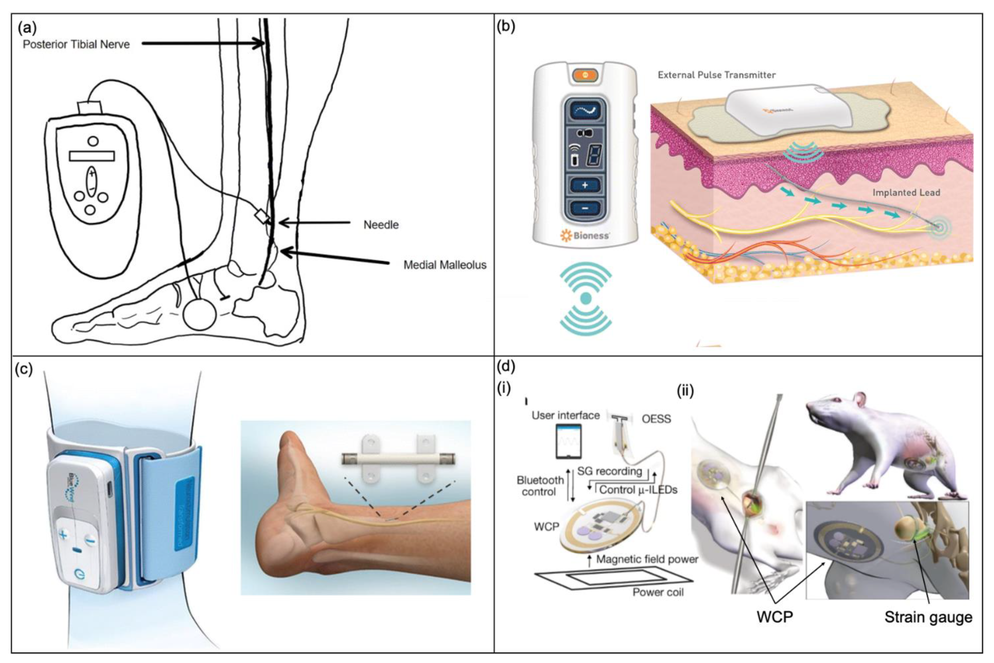 Micromachines 13 00551 g009