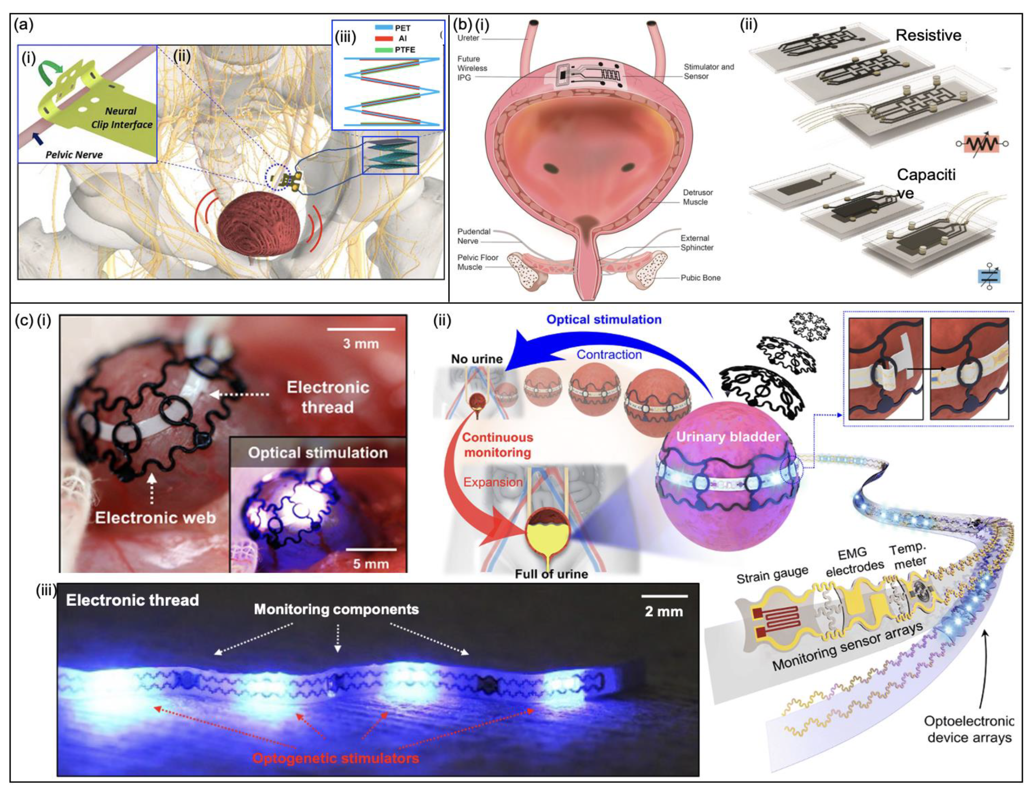 Micromachines 13 00551 g011
