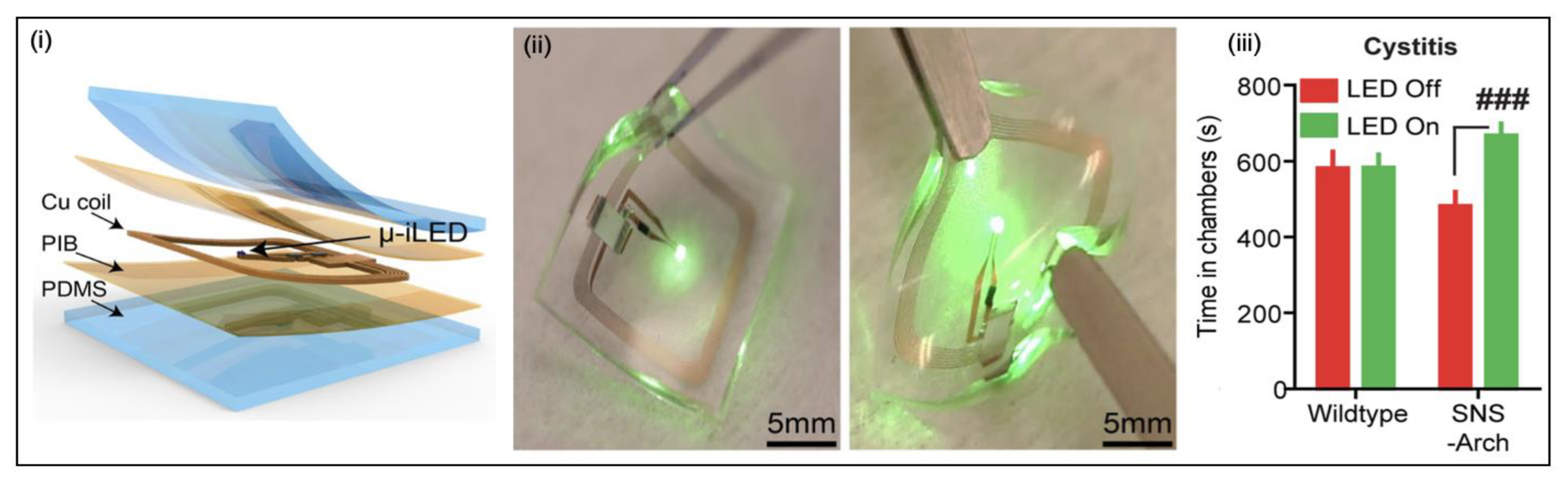 Micromachines 13 00551 g015