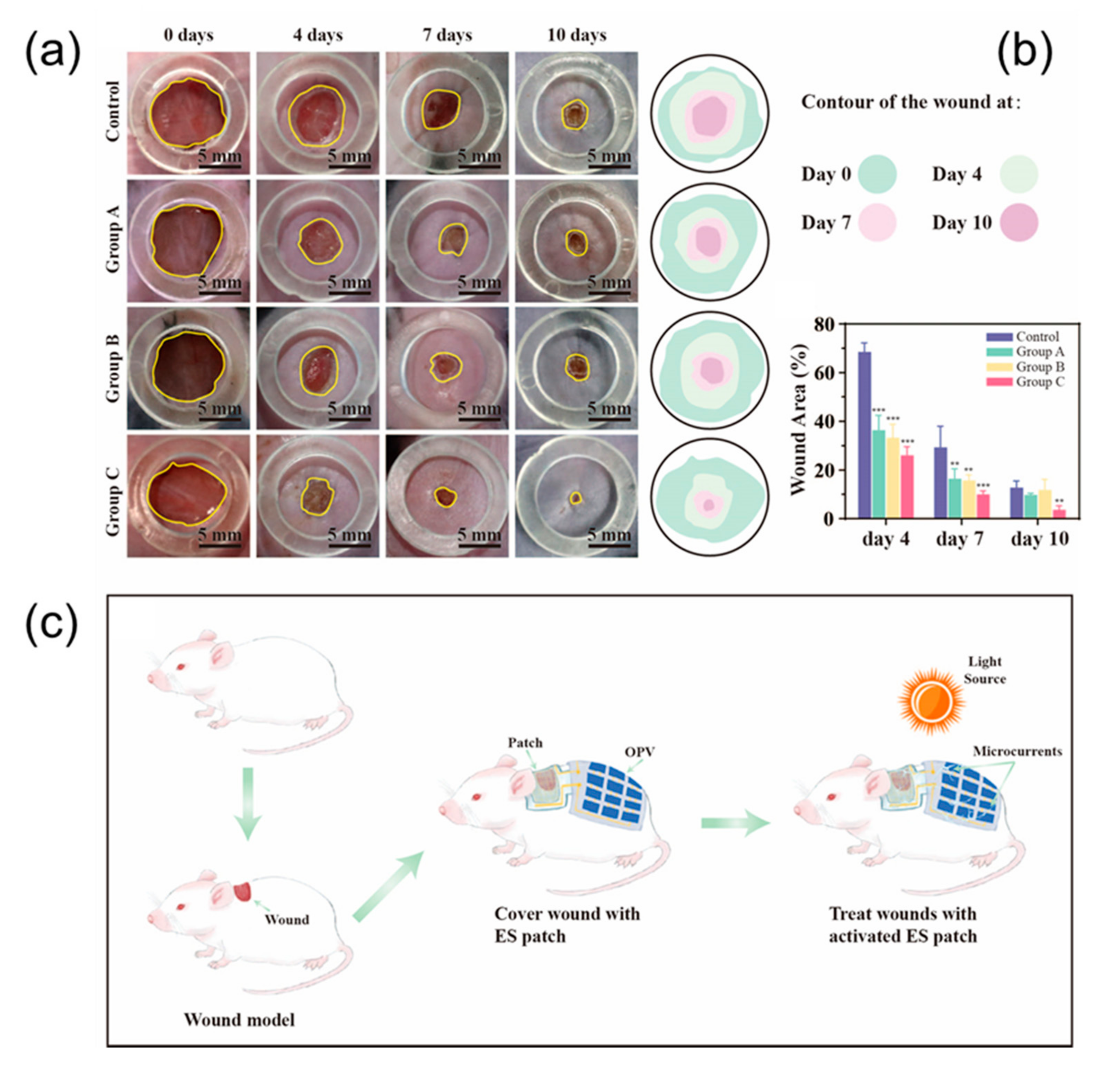 Micromachines 13 00561 g005