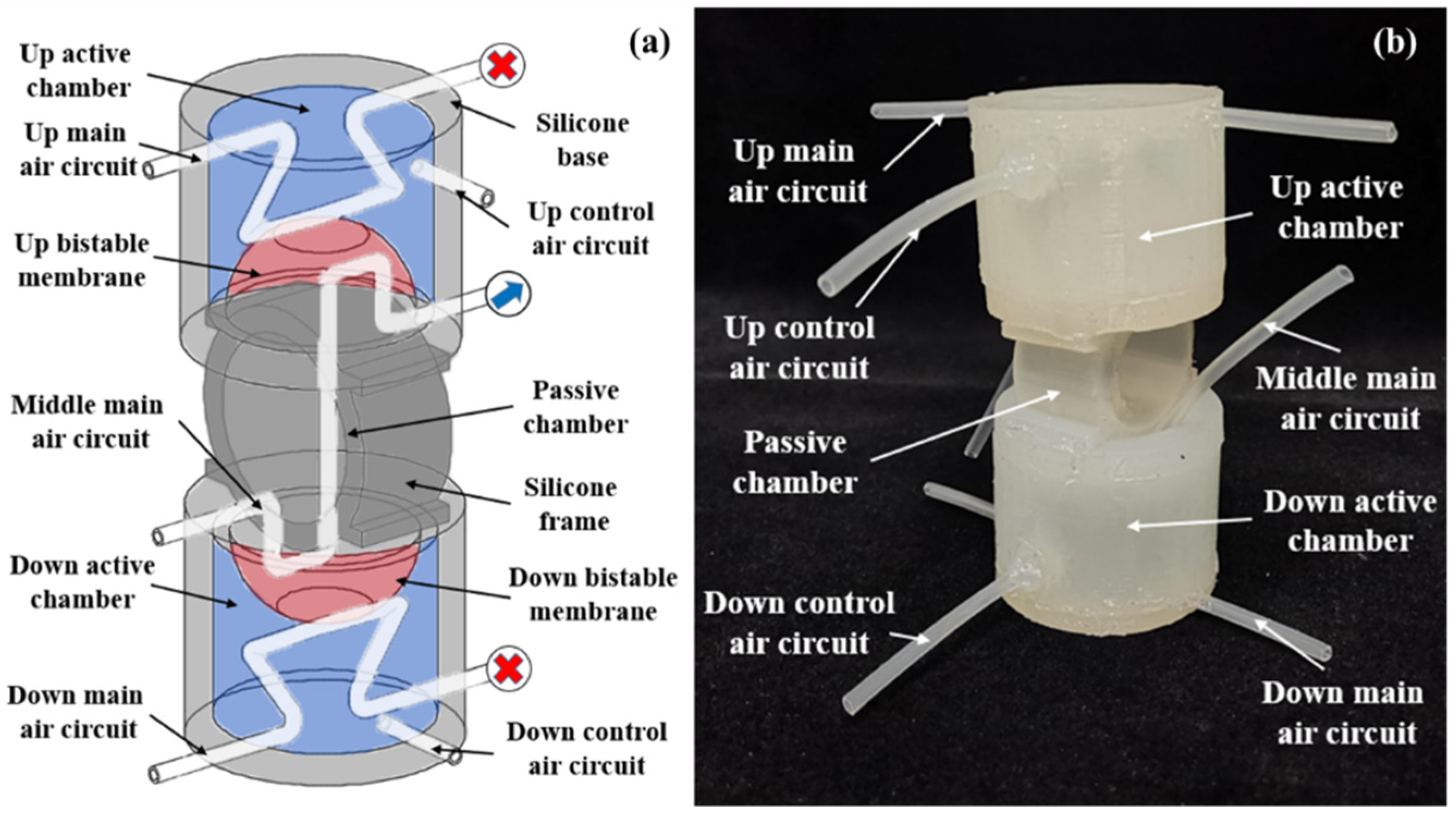 Micromachines 13 00568 g008