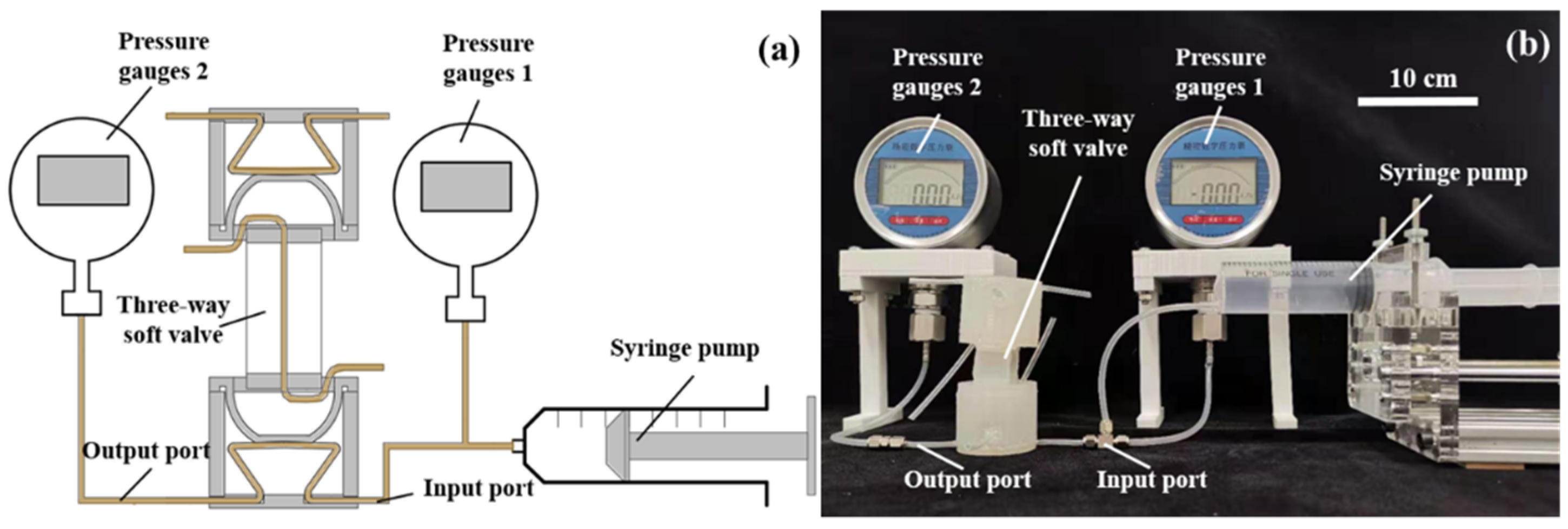 Micromachines 13 00568 g010