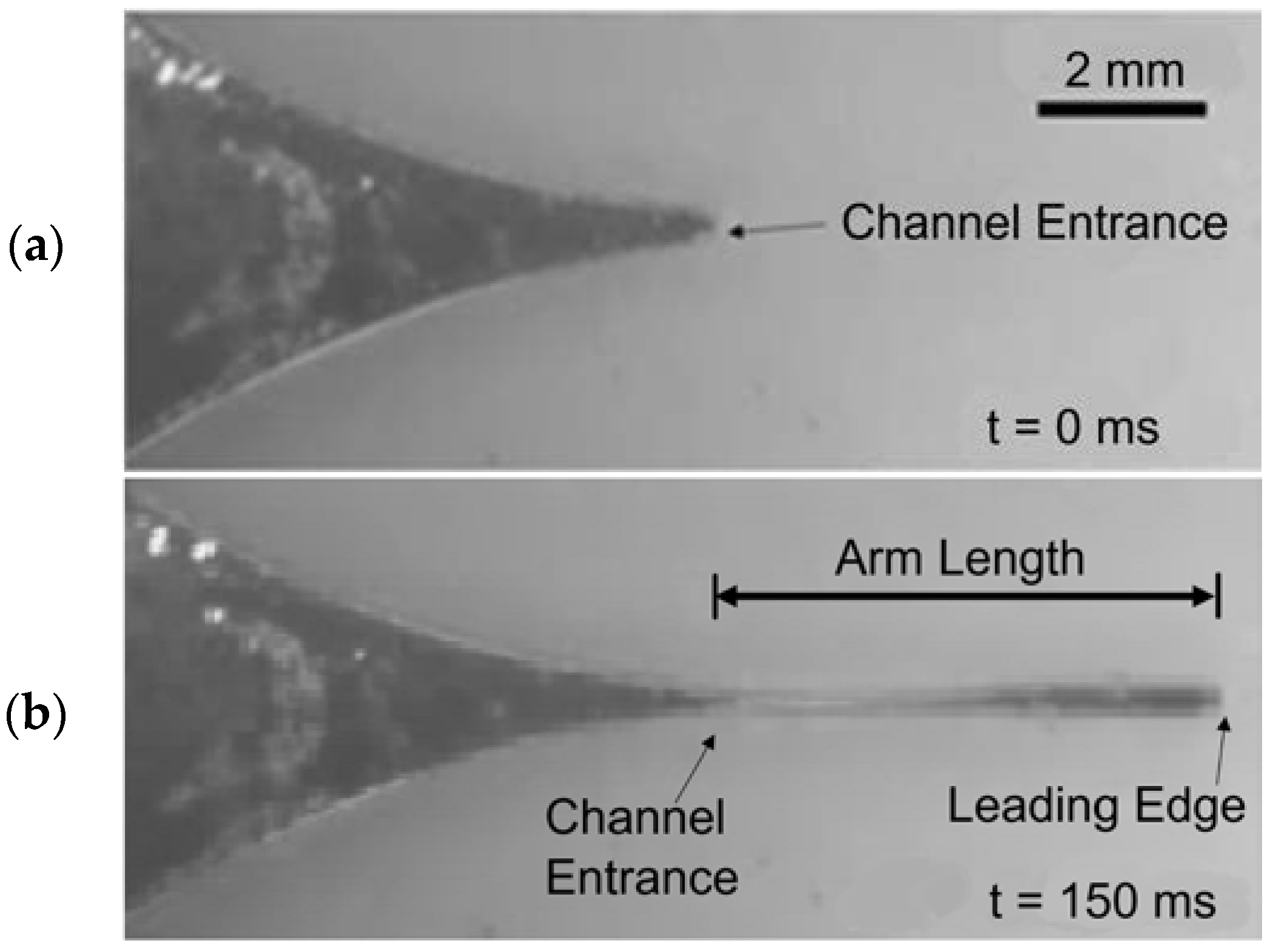 Micromachines 13 00572 g003