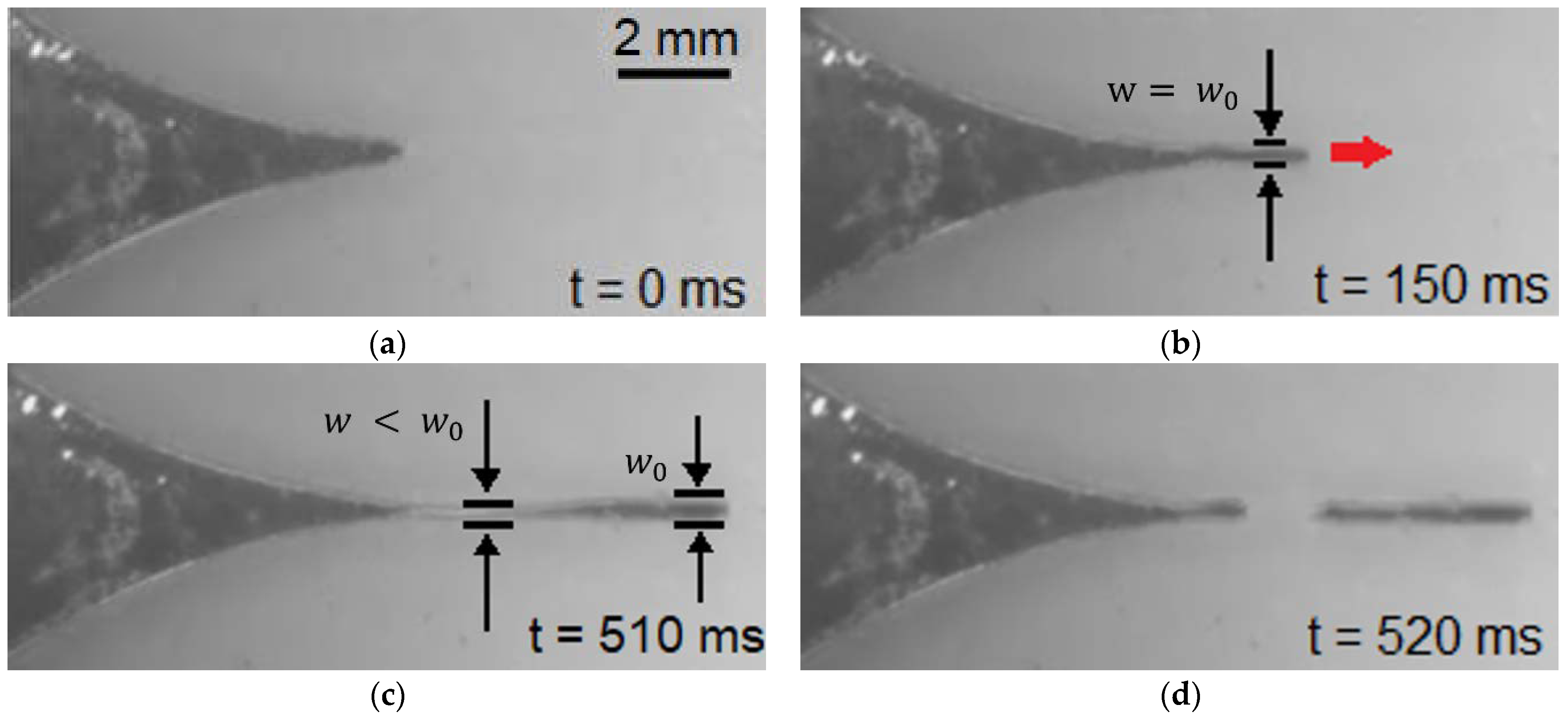 Micromachines 13 00572 g004