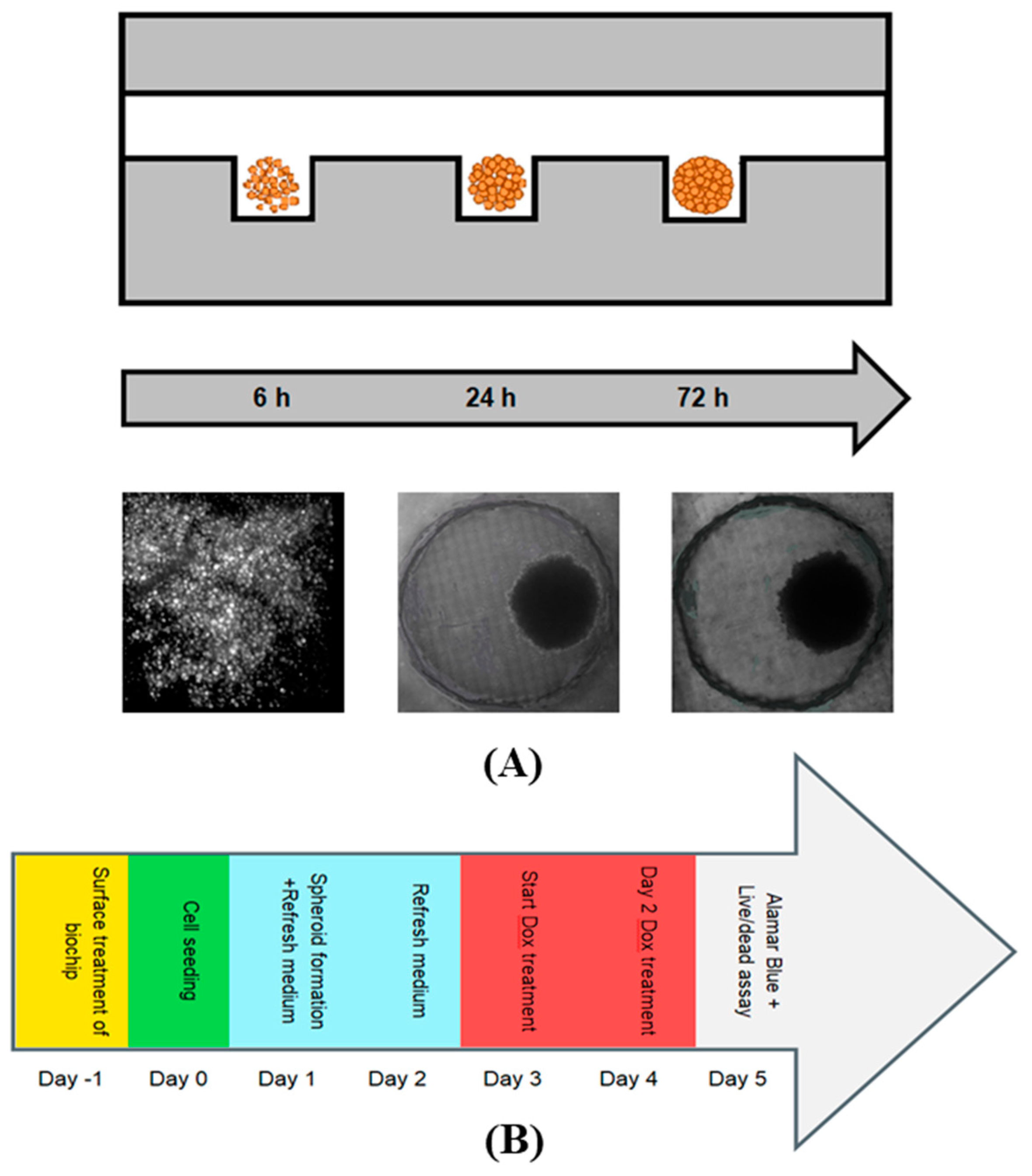 Micromachines 13 00587 g003