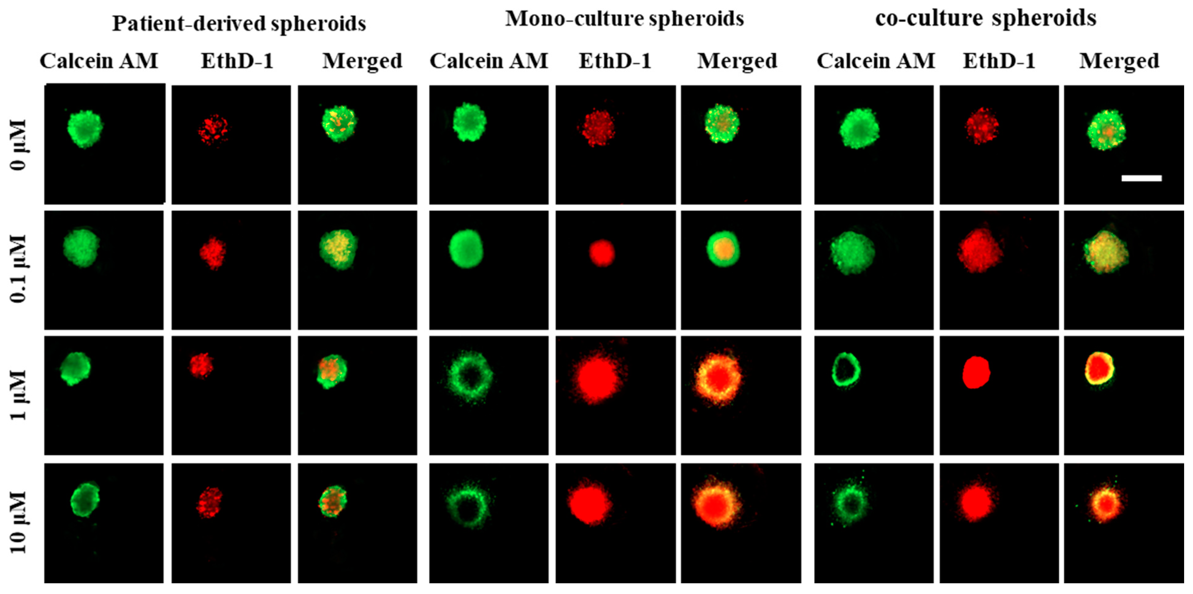 Micromachines 13 00587 g006