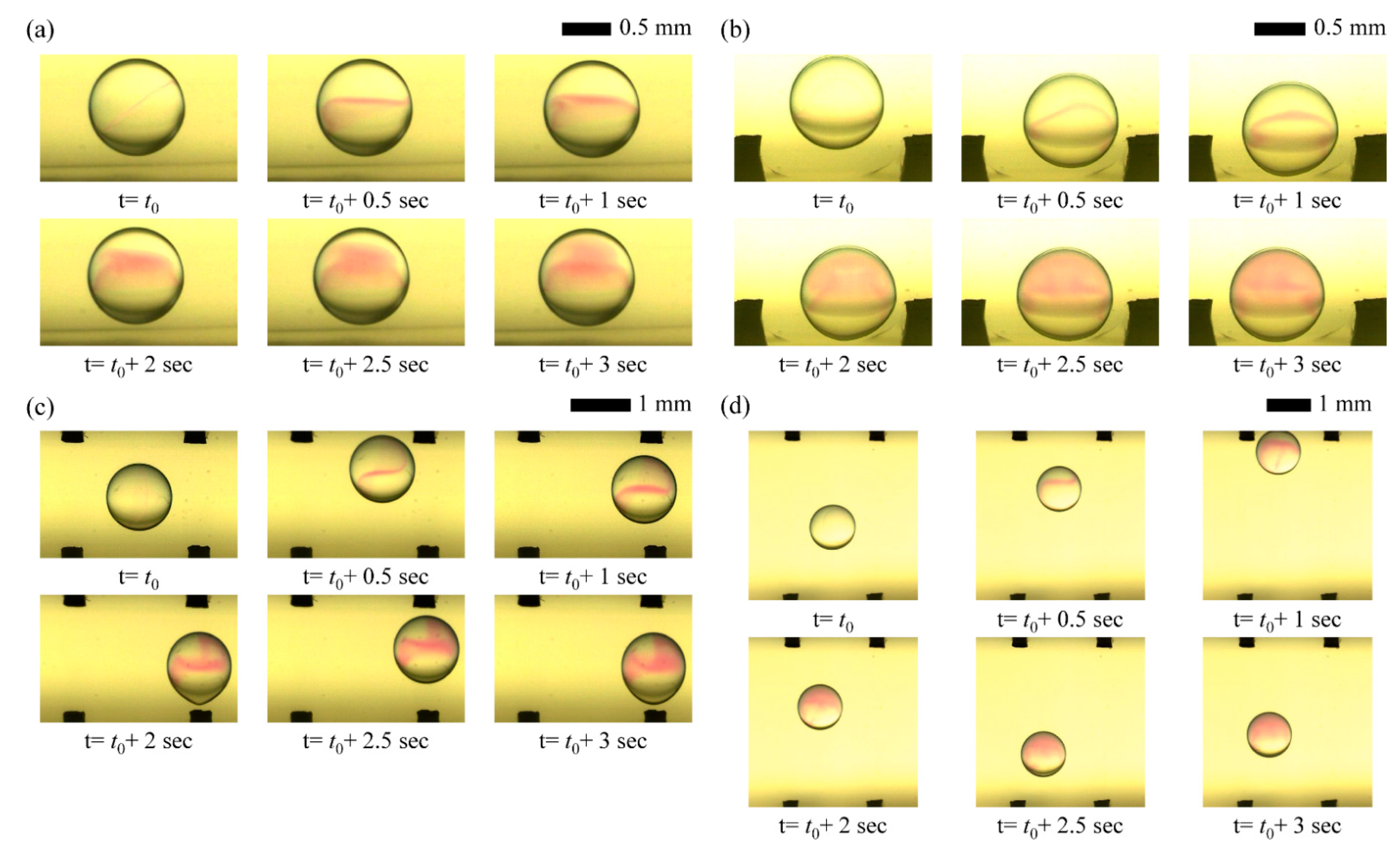 Micromachines 13 00593 g007
